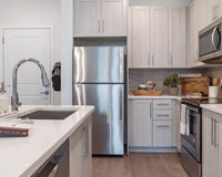 Essex Luxe apartment kitchen