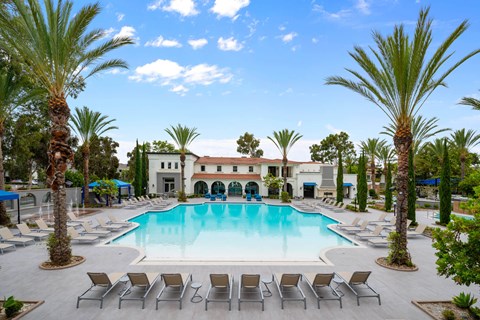 27 Seventy Five Mesa Verde Apartments Swimming Pool