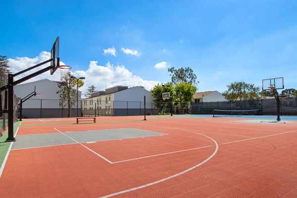 27 Seventy Five Basketball Court