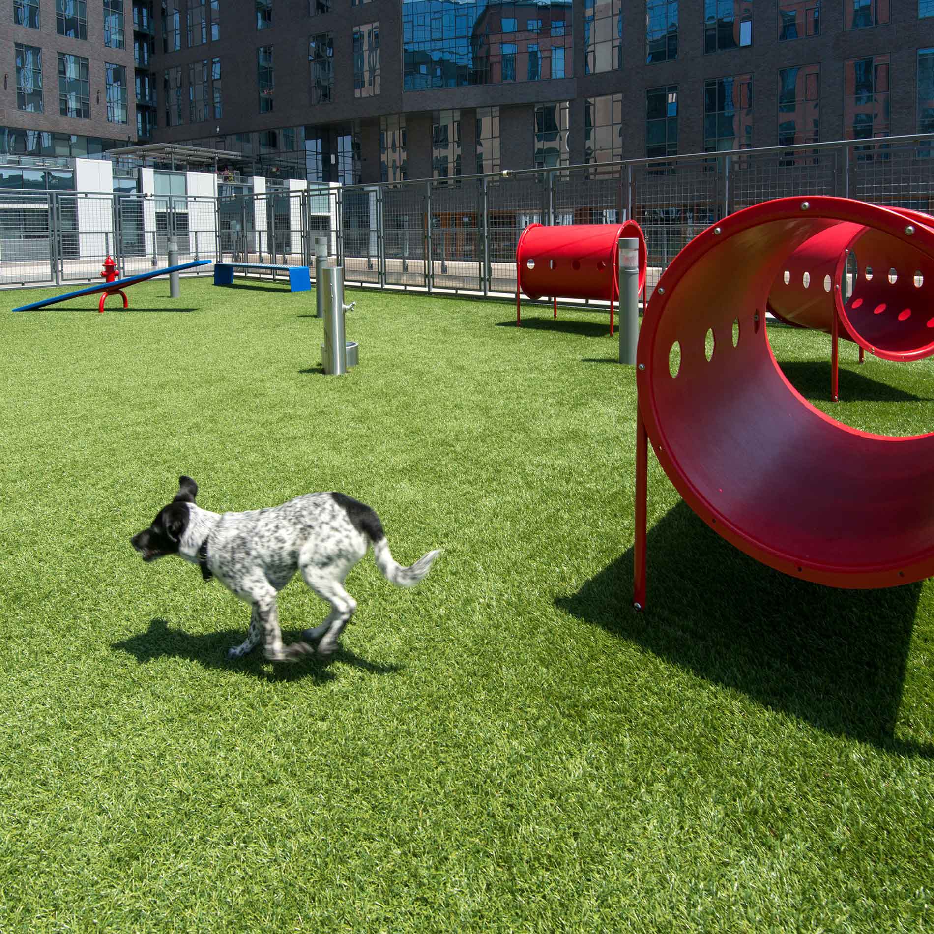 Dog Park Dog Friendly Apartments Pet-Friendly Apartments In Rogers