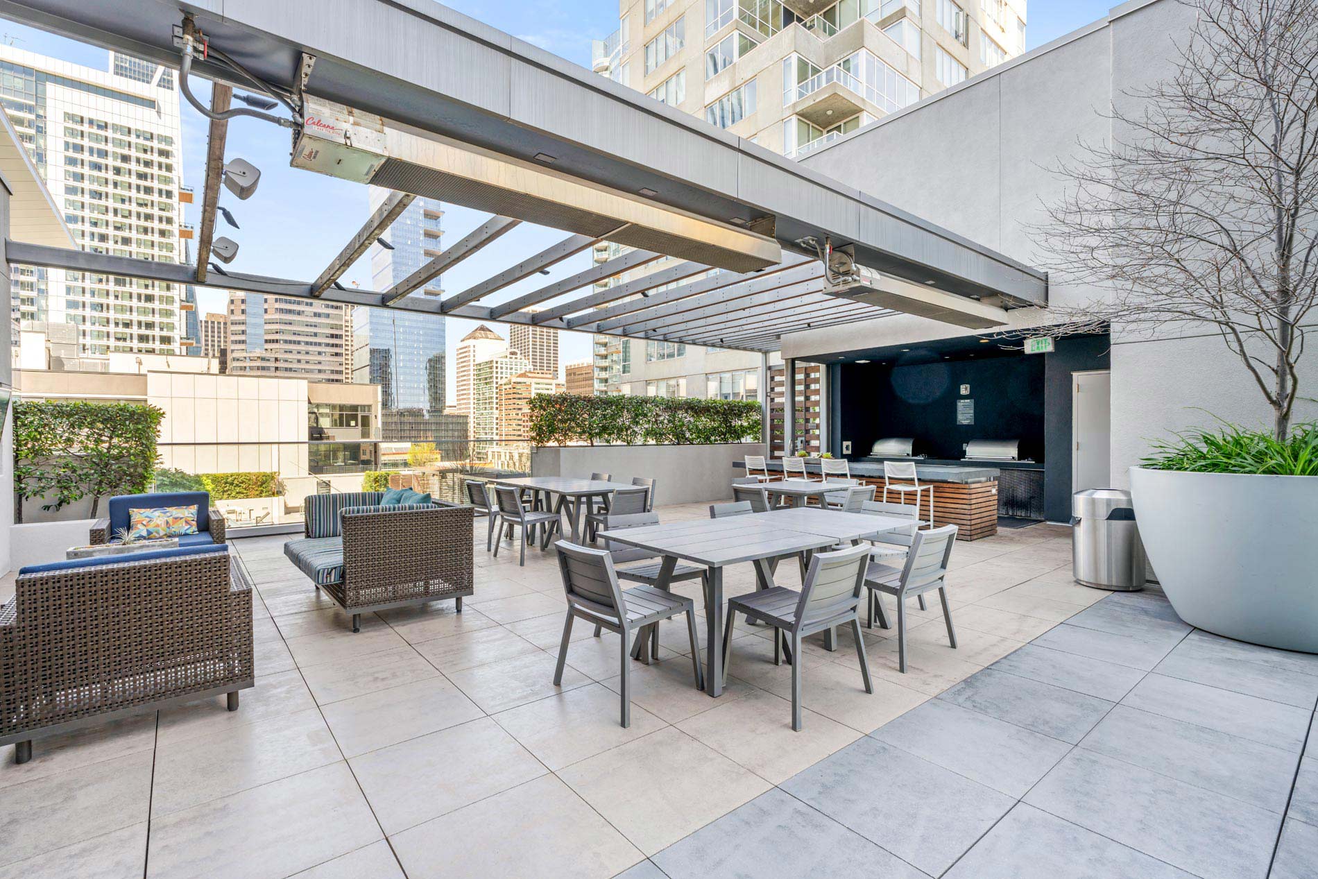 399Fremont 2026 PLTERR 01 W360