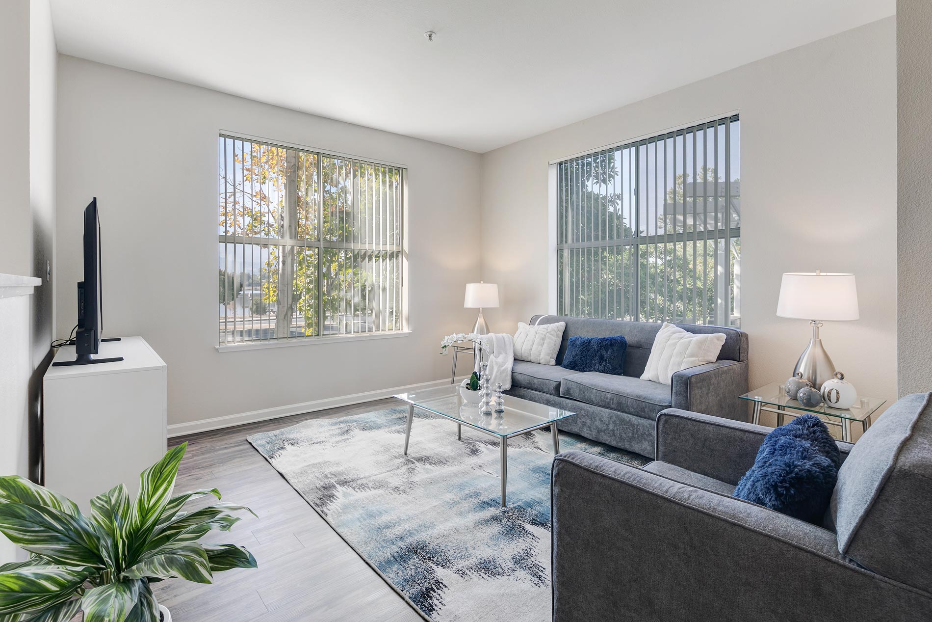 Almaden Lake Village living room