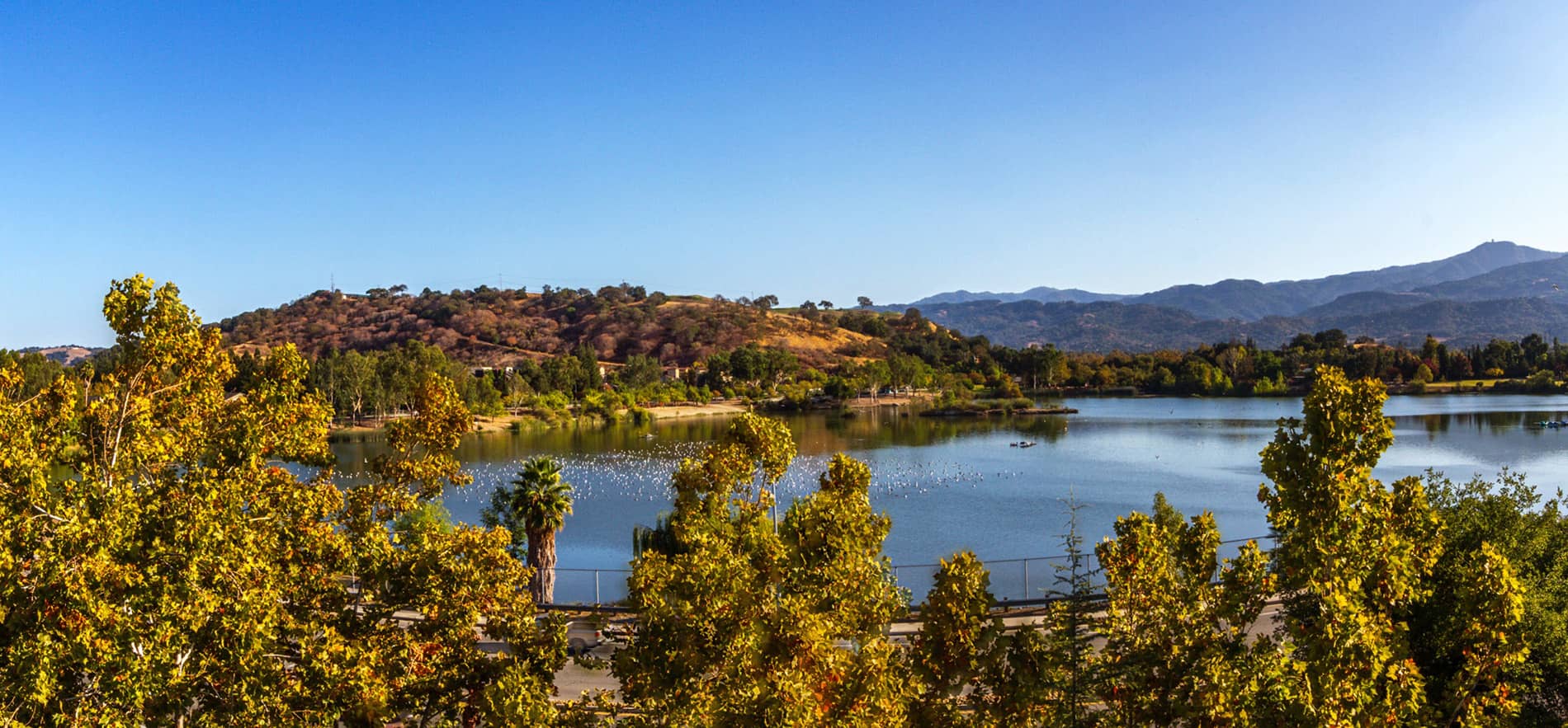 Almaden Lake Village View