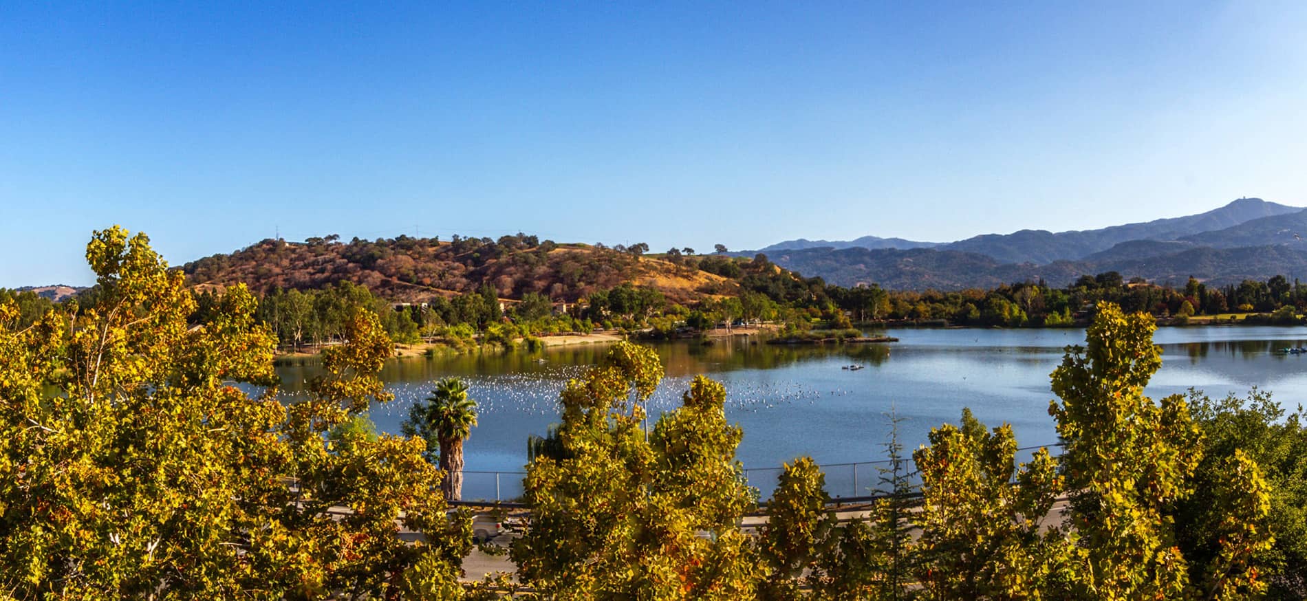 Almaden Lake Village View