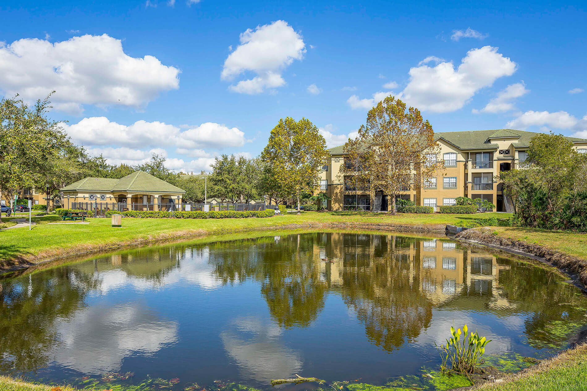 Photos and Tours of Andover Place at Cross Creek New Tampa