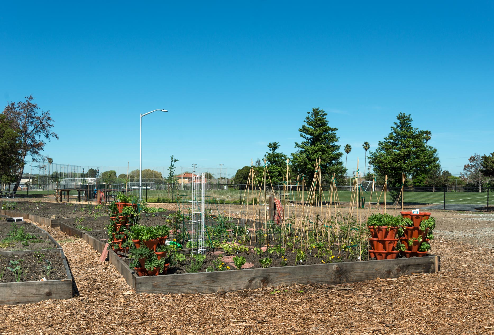 Bay Terrace Apartments Gardens