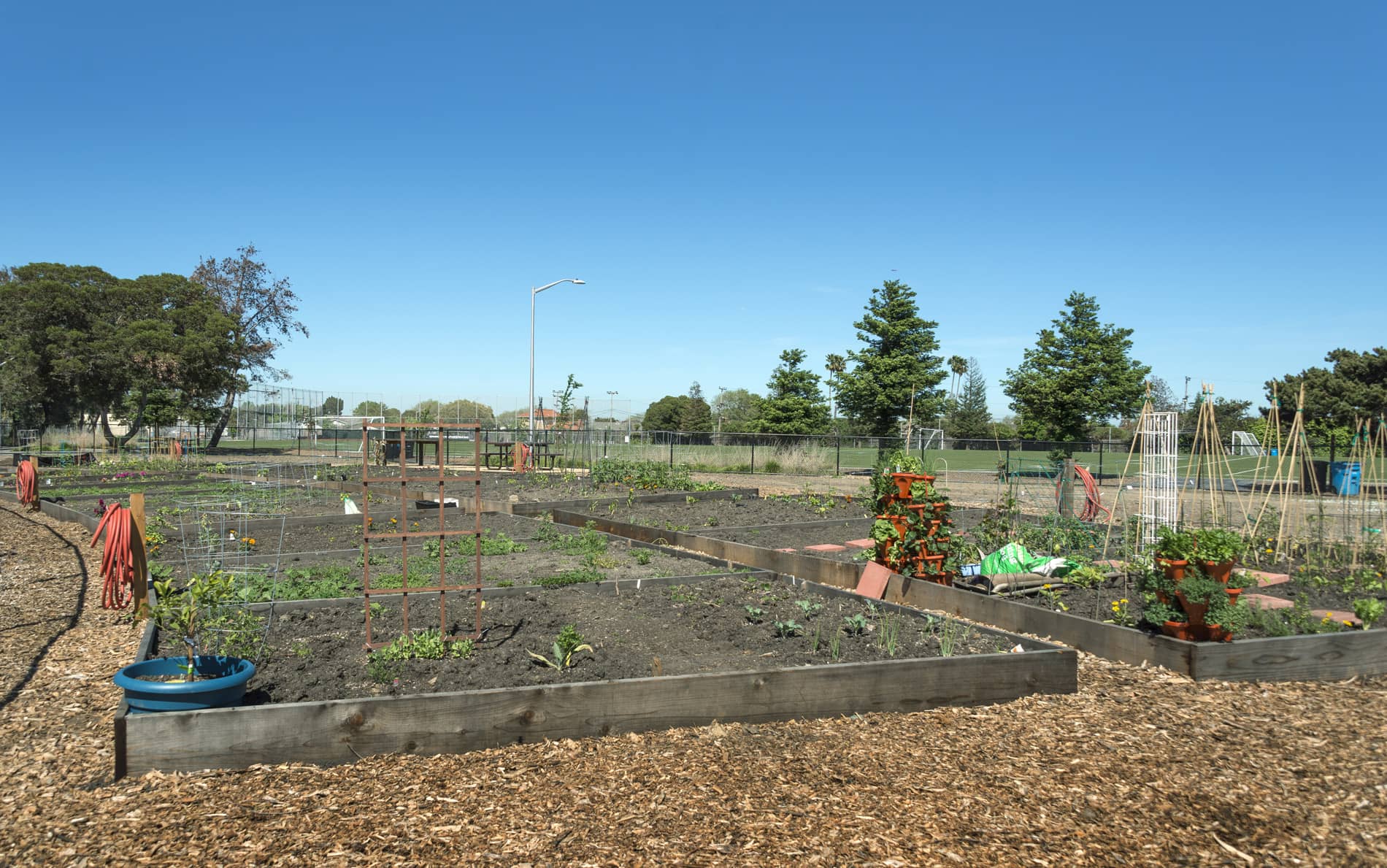 Photos and Tours of Bay Terrace San Mateo CA