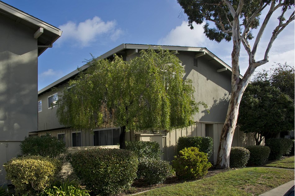 Photos and Tours of Bay Terrace San Mateo CA