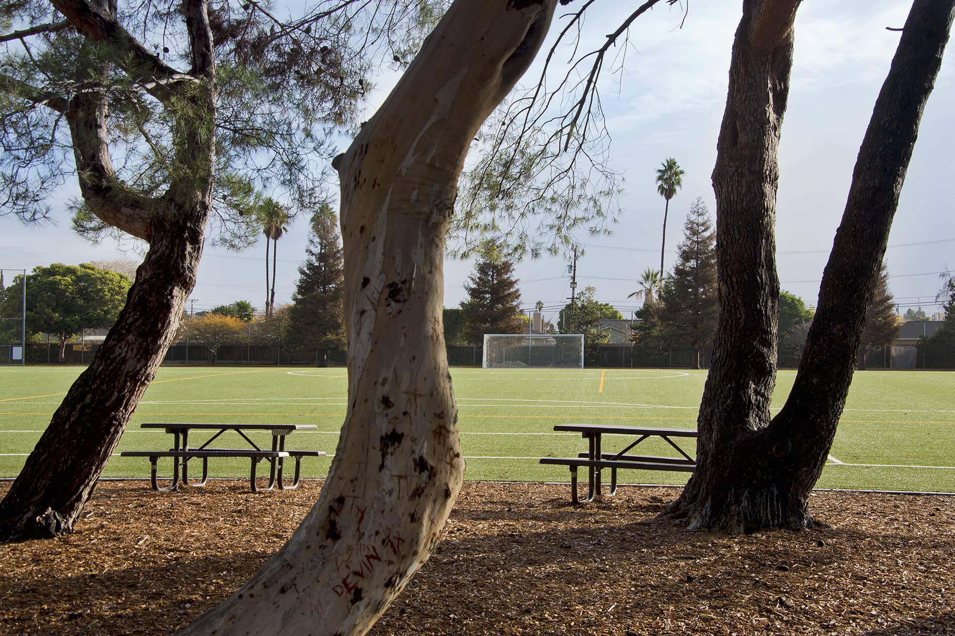 Bay Terrace Soccer Field