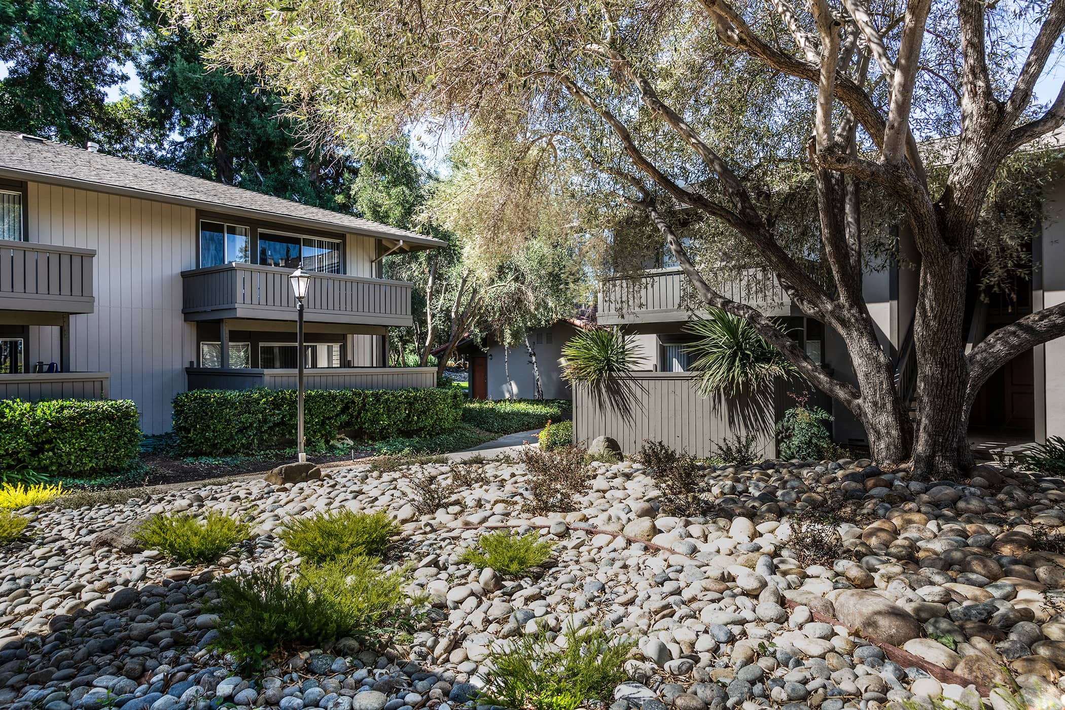 Birch Creek Apartments in Mountain View CA