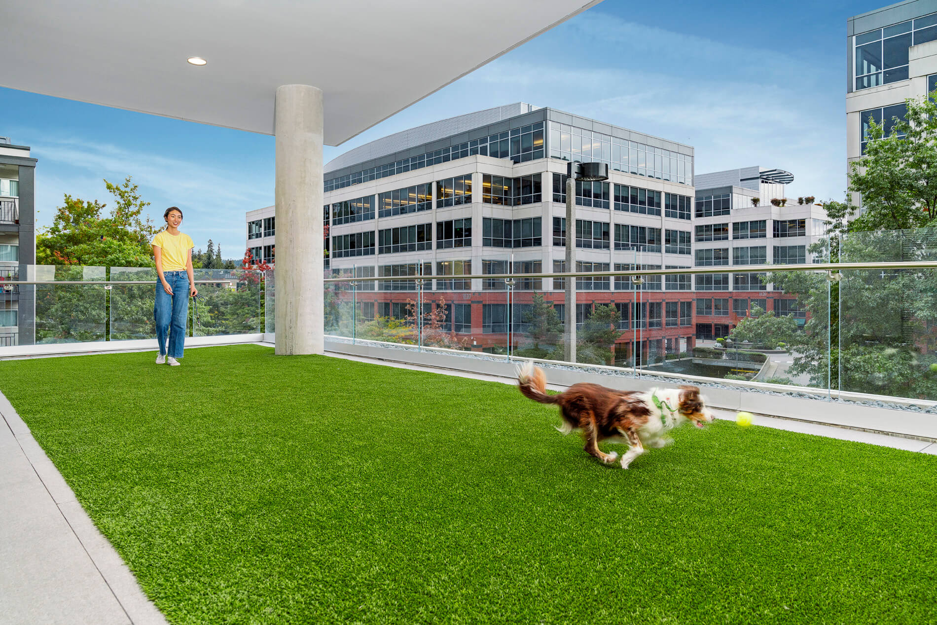 Brio Dog Run