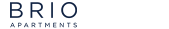 Brio Overview page