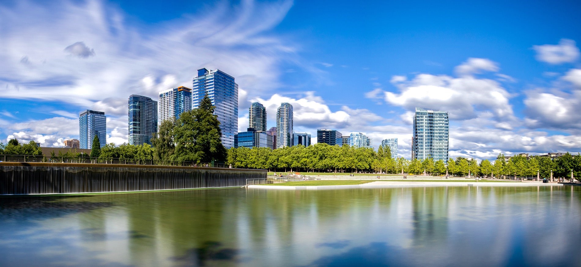 Bellevue skyline in Summer Bellevue skyline in Summer