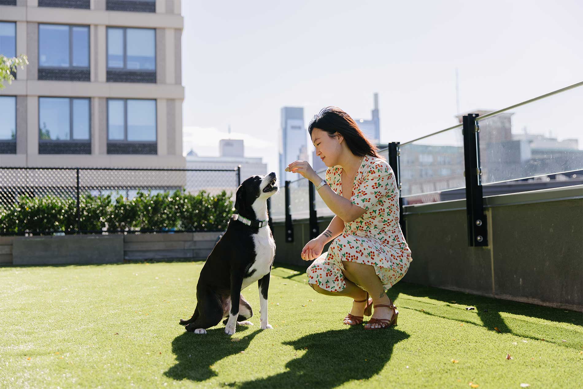 Woman giving dog treats