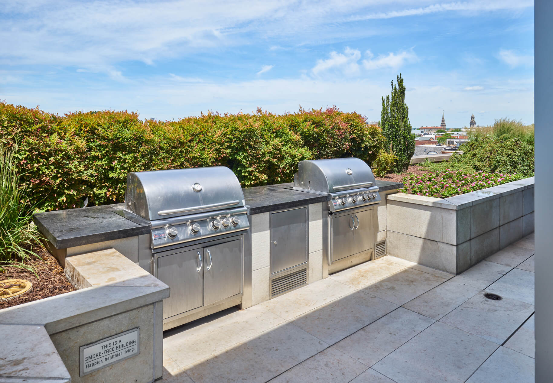 Capitol View gas grills