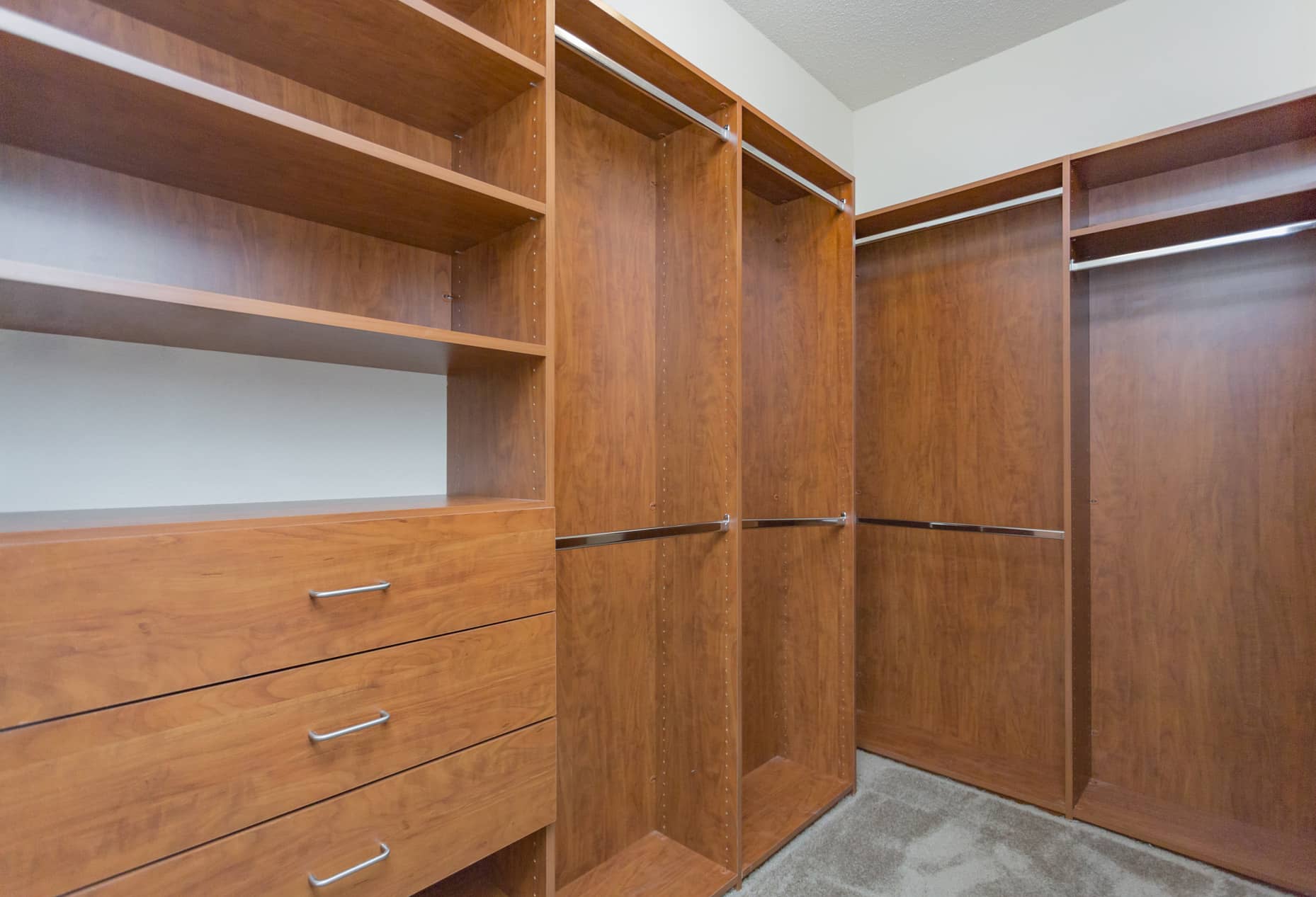 Carrington Hills Closet