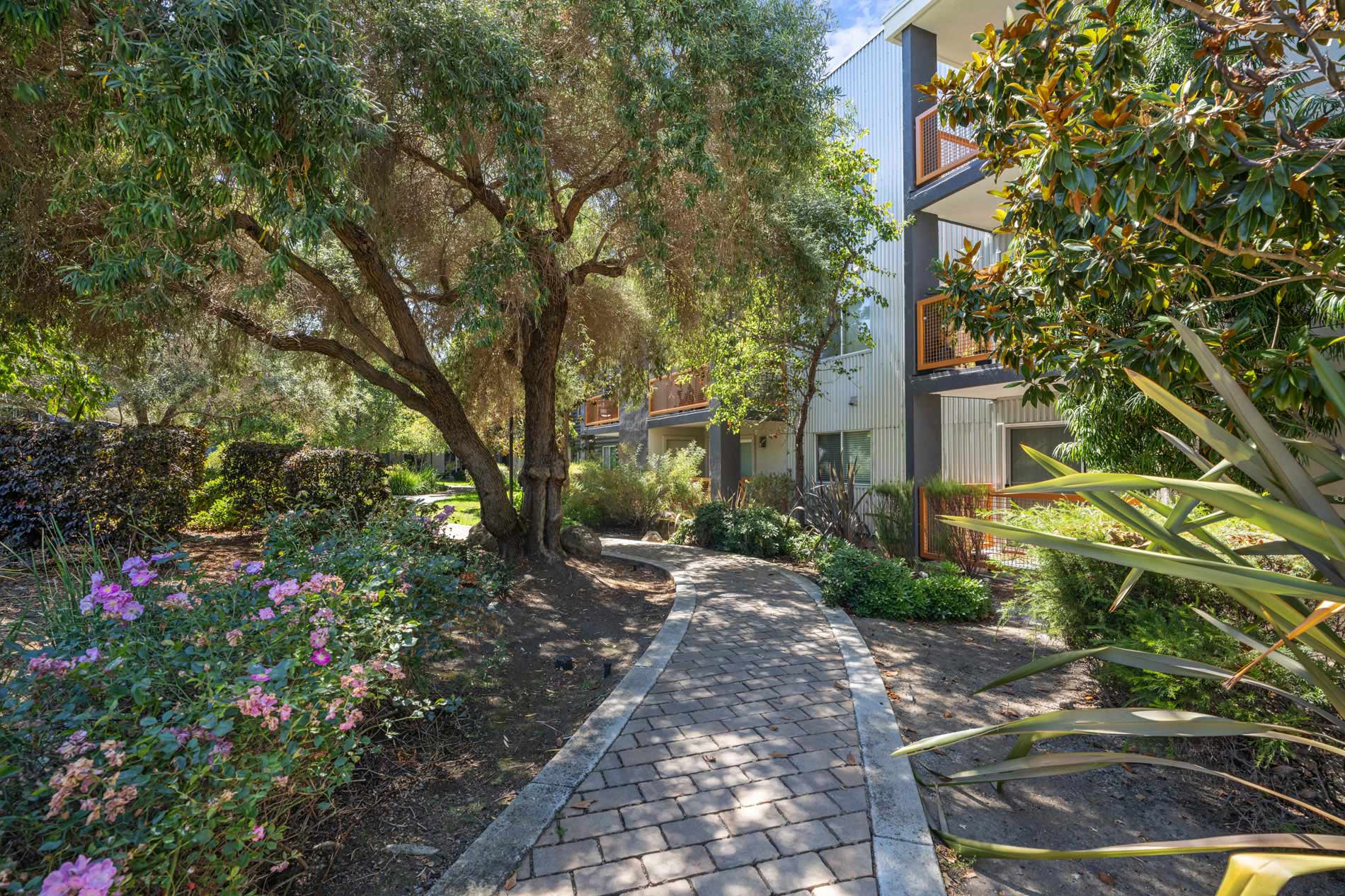 CitySouth pathway