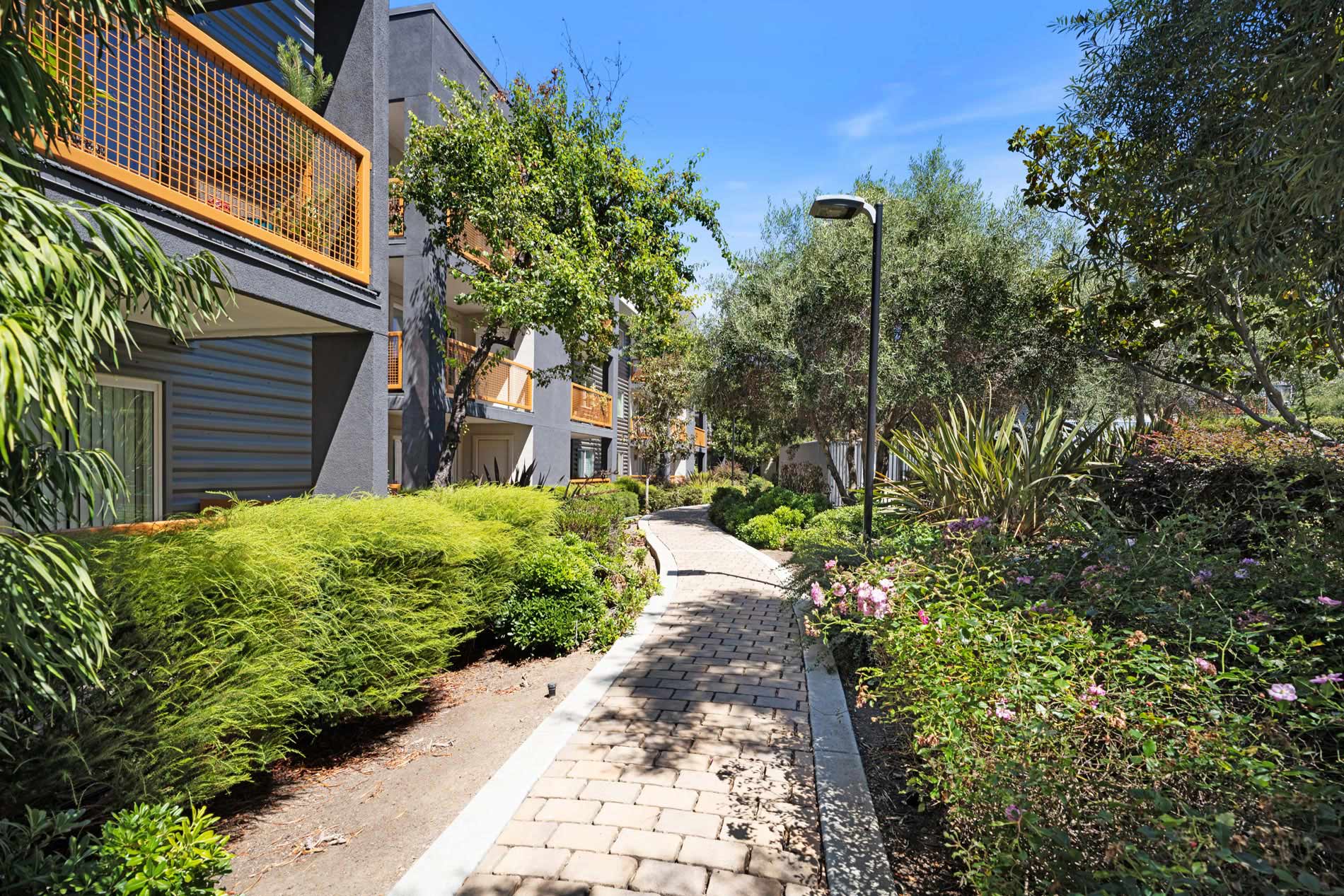 CitySouth pathway