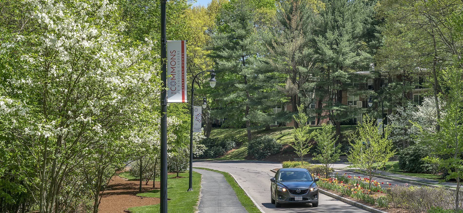 Neighborhood Info Location Of The Commons At Windsor Gardens