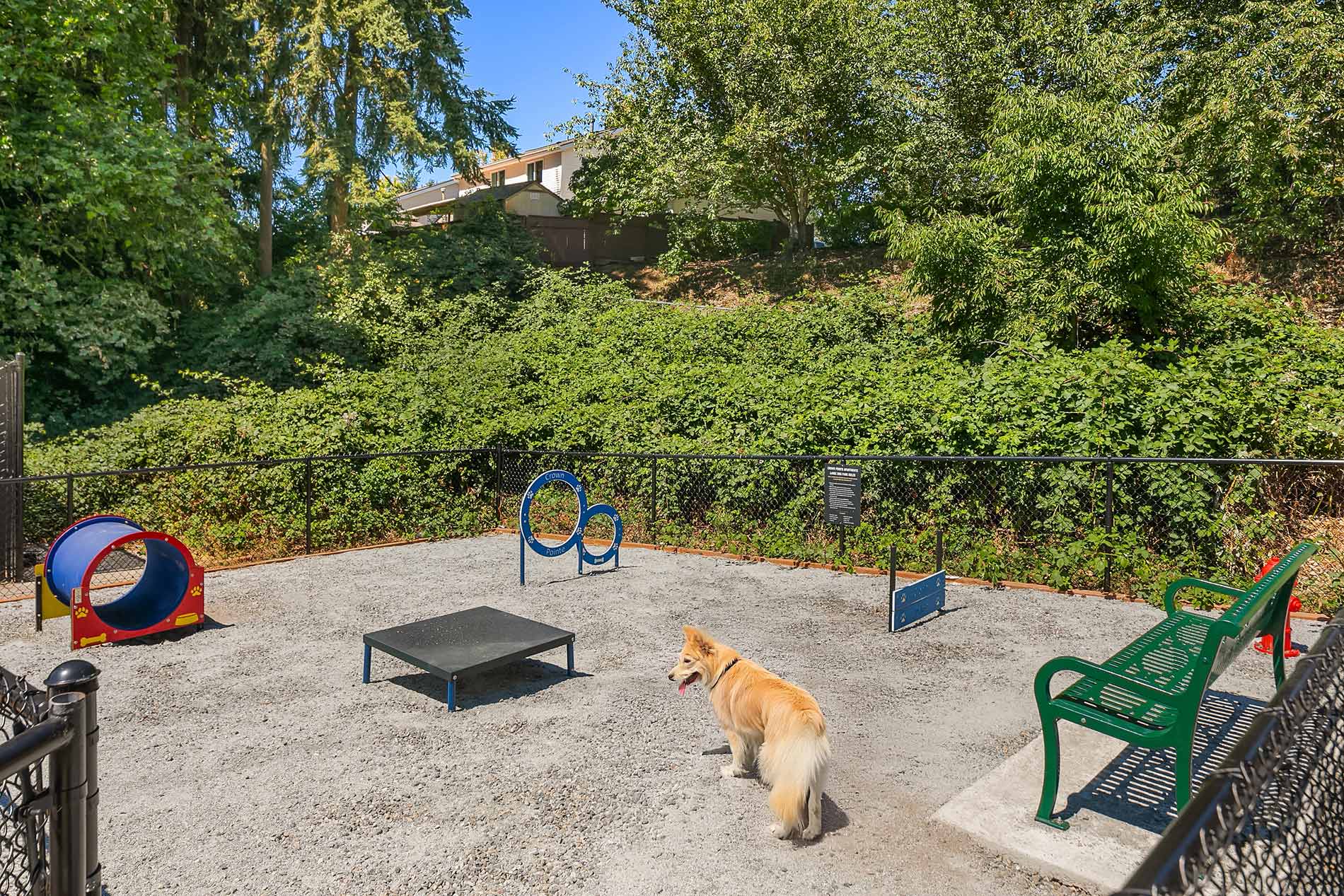Crown Pointe dog park