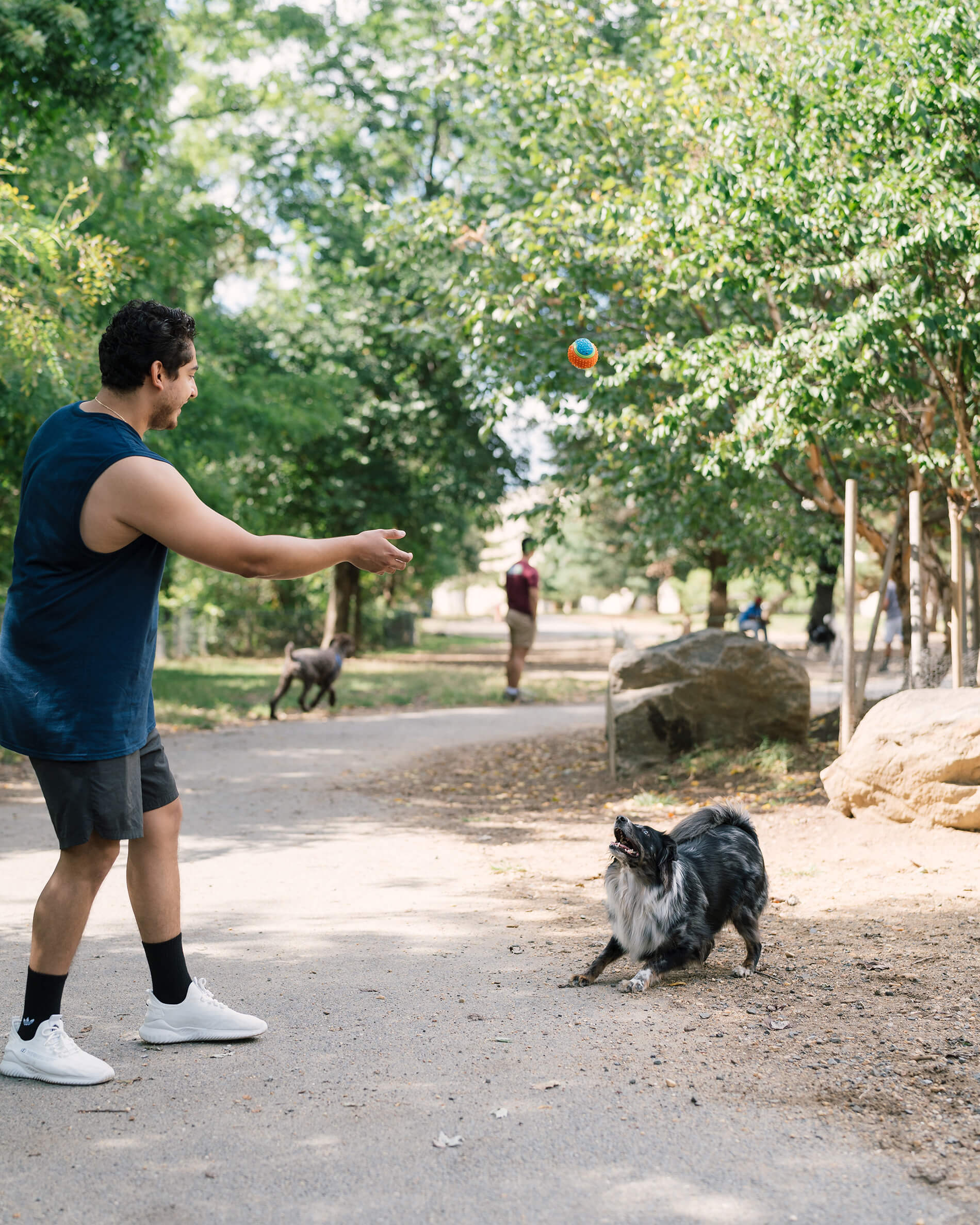 Delancey at Shirlington Village Apartments Man in Dog Park with Dog