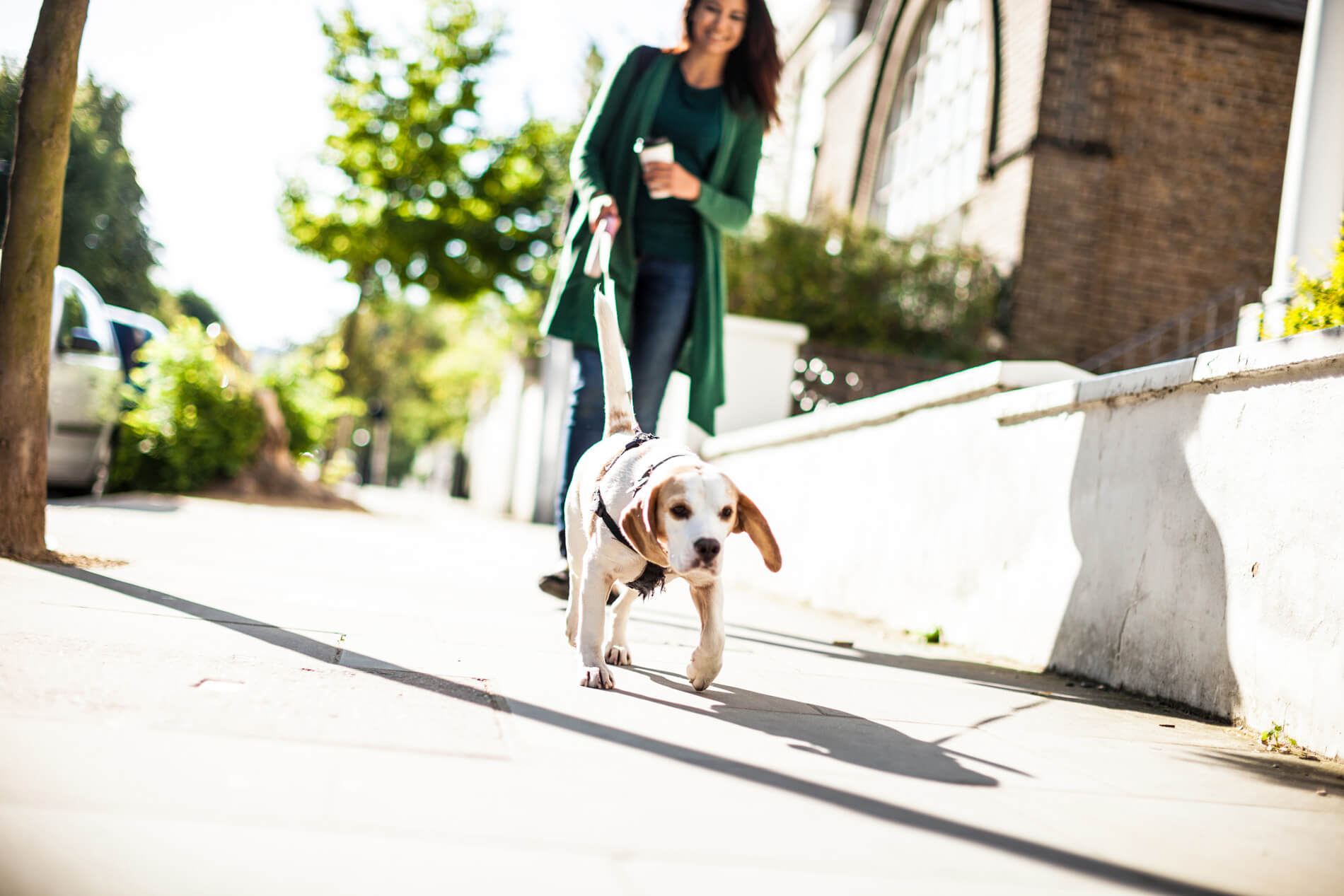 Woman walking dog outside