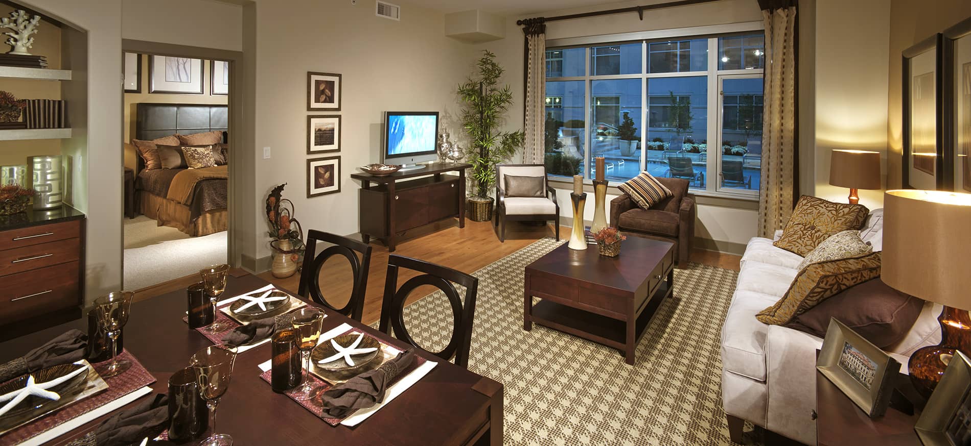 domus student living domus student living