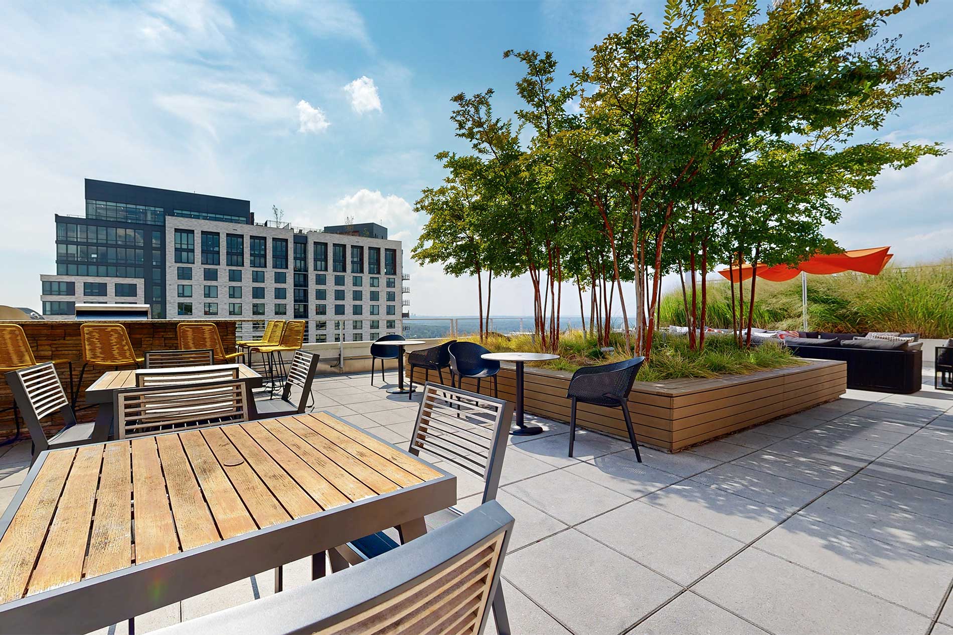 Eleven55 Ripley rooftop pool deck - Silver Spring, MD