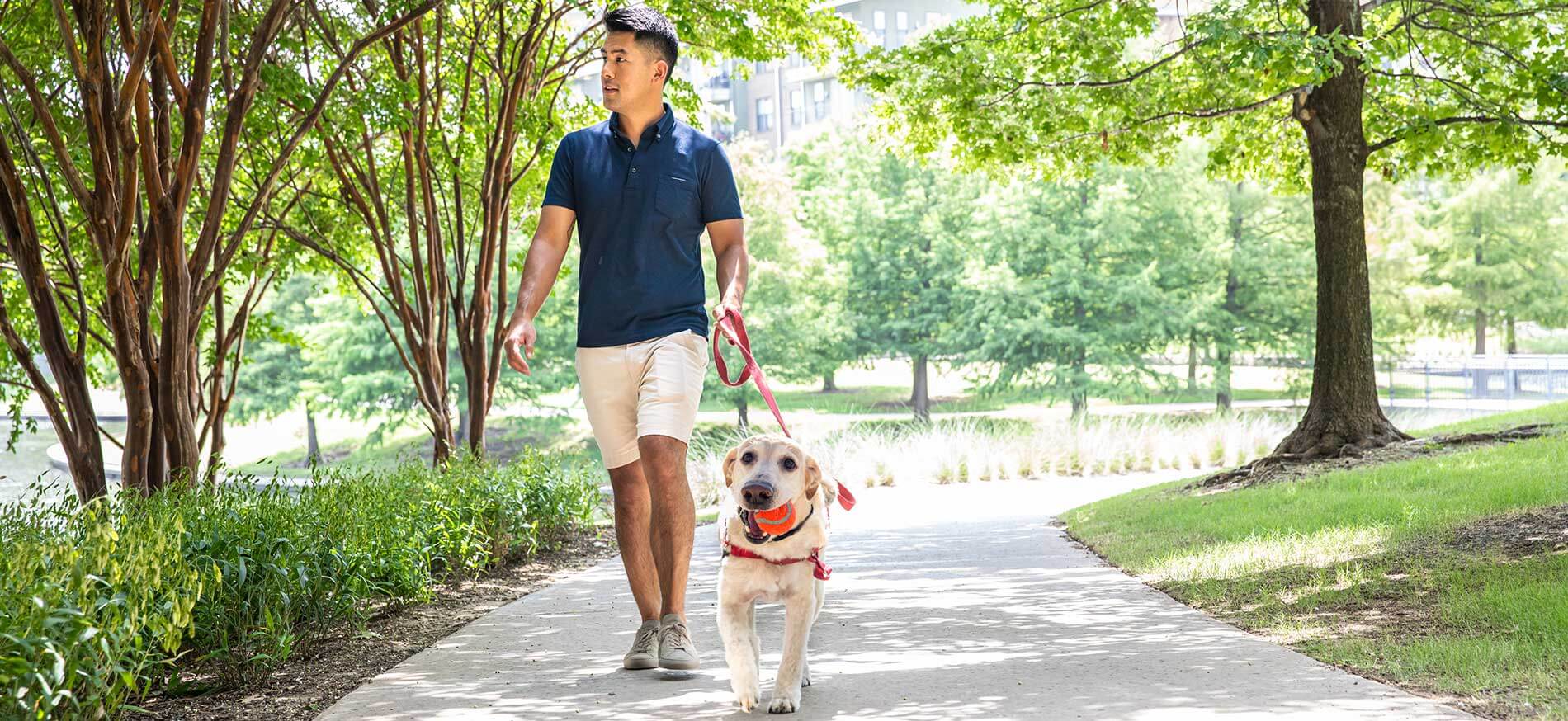 Man walking dog in park