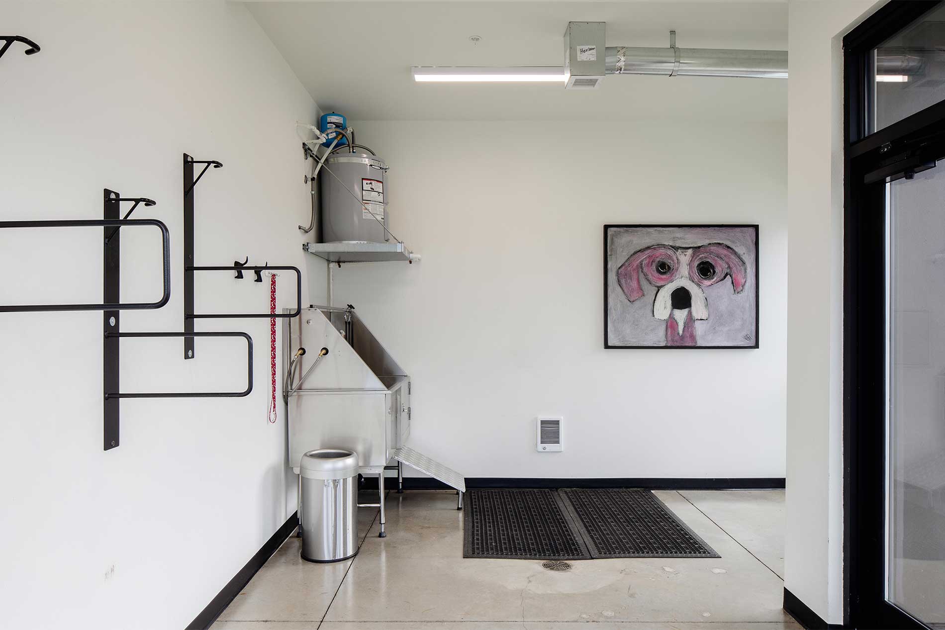 Heirloom dog wash for pet-friendly apartment living