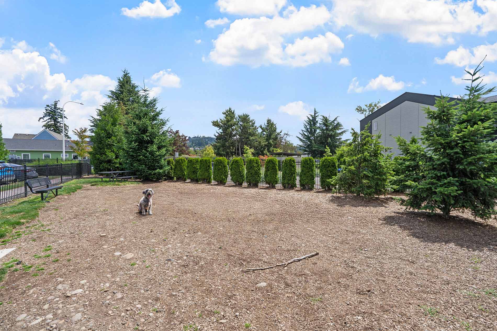 Heirloom apartments dog park