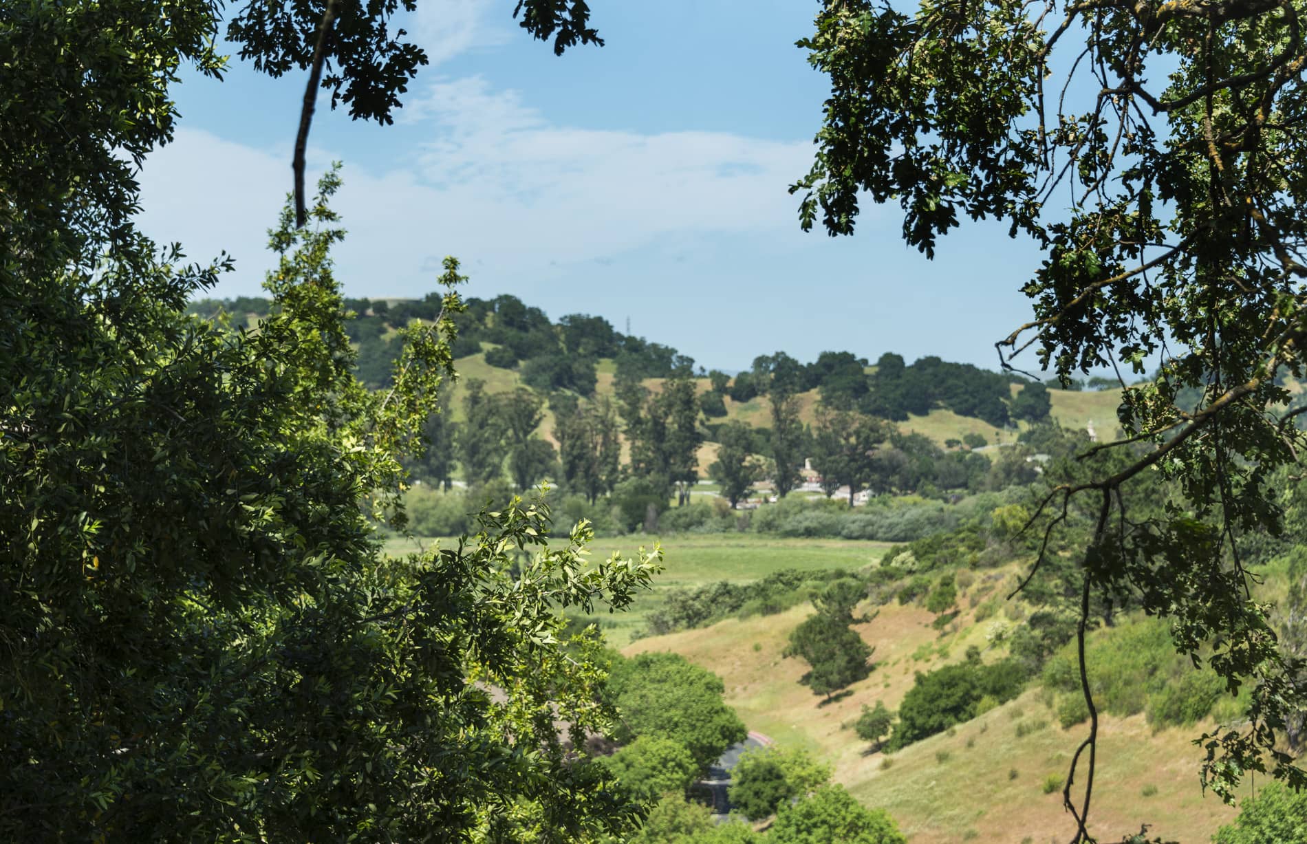 Highlands of Marin View