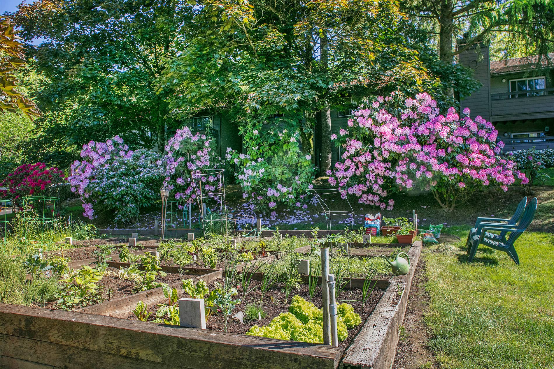 Hunt Club Community Garden