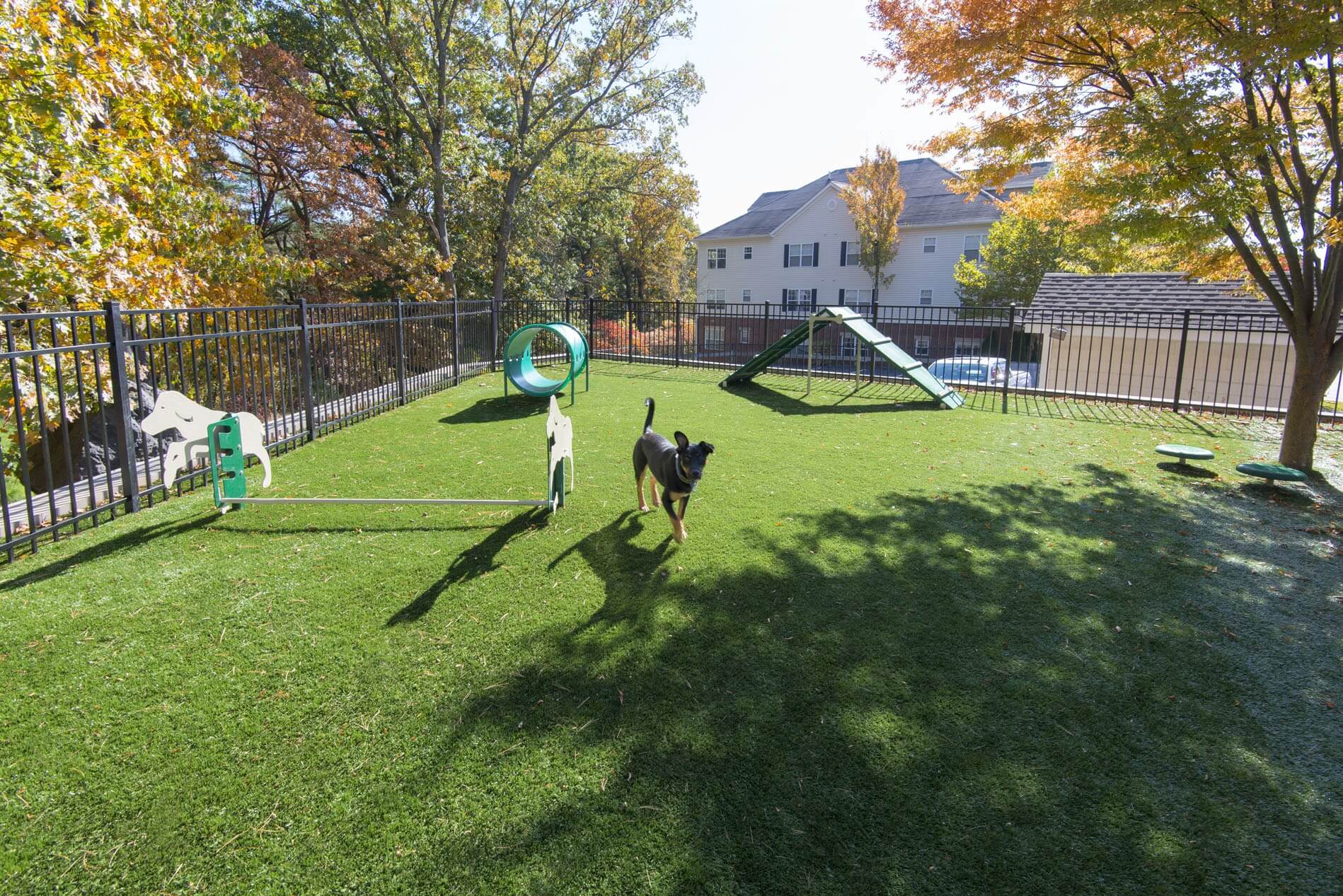 Inwood West Dog Park