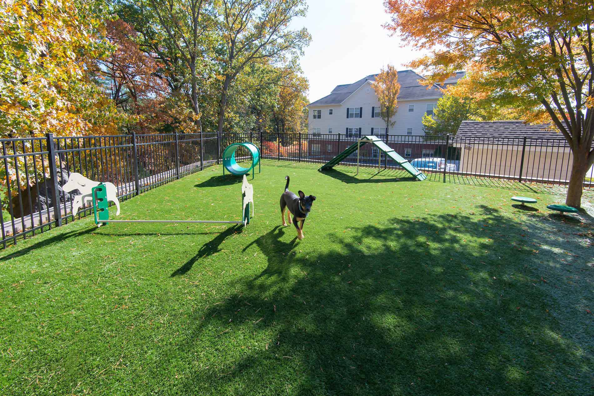 InwoodWest 2019 DOG1 BH min InwoodWest 2019 DOG1 BH min