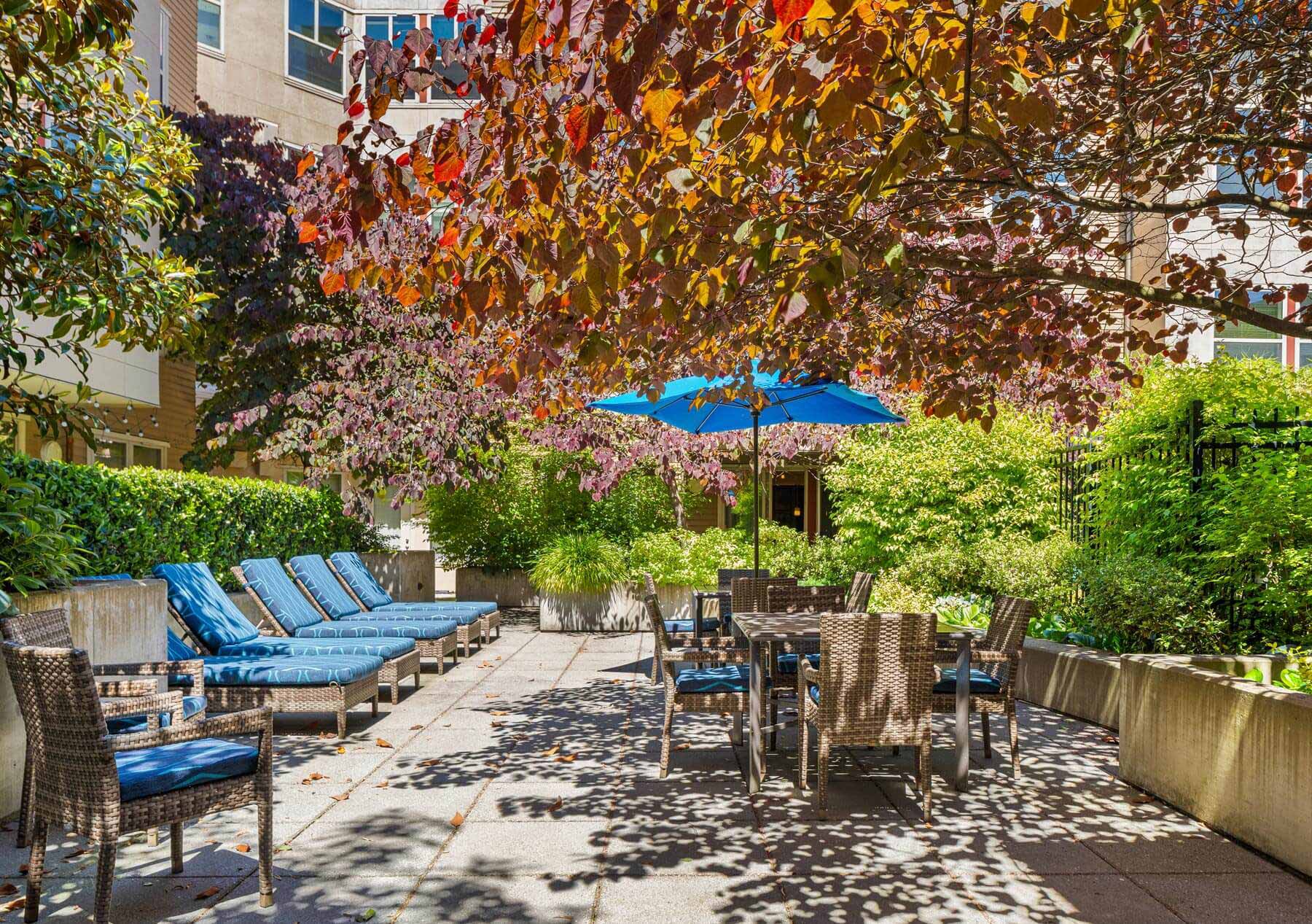 Island Square Courtyard 