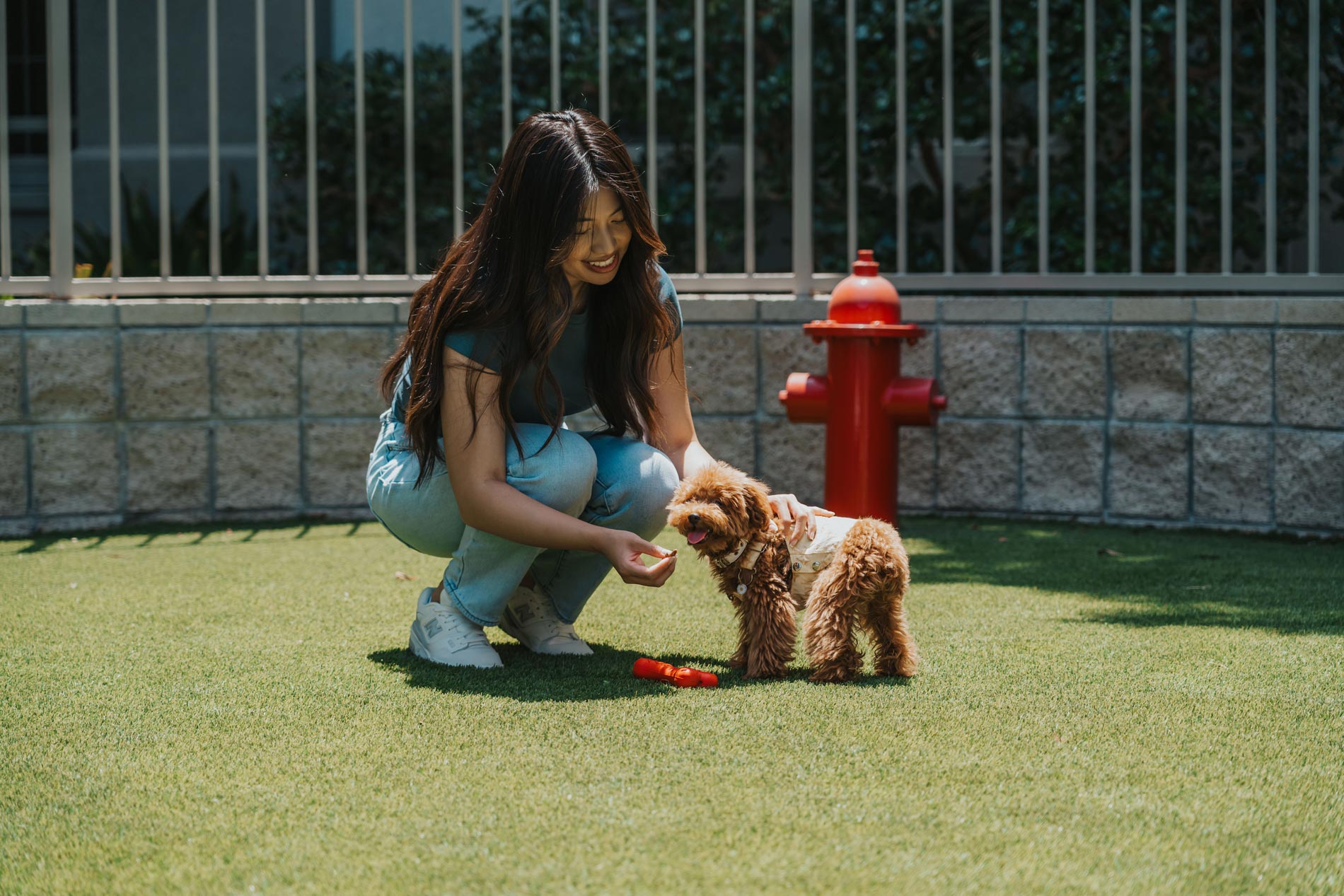 Jefferson woman pets small dog in dog park