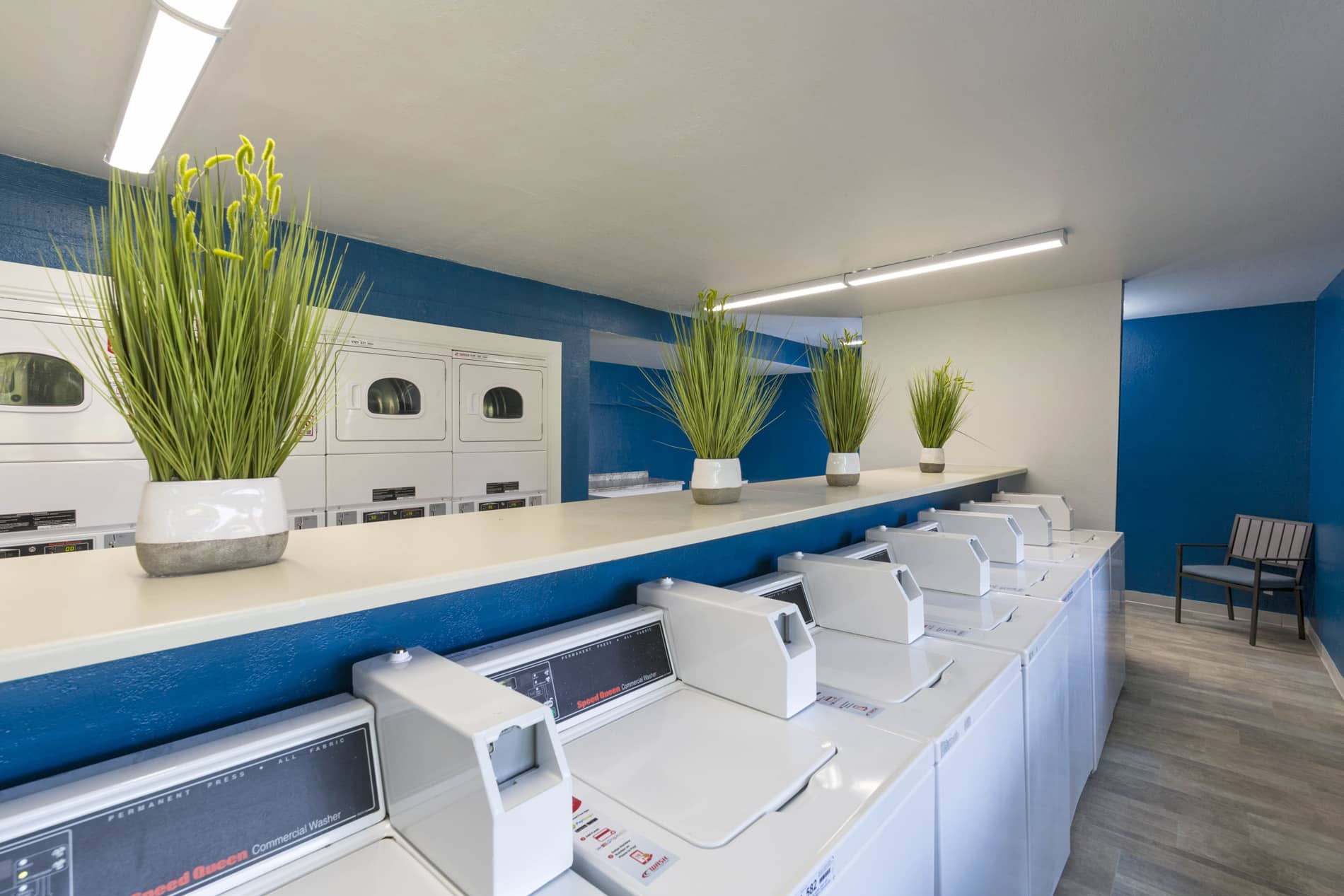 Laurel Tree Laundry Room