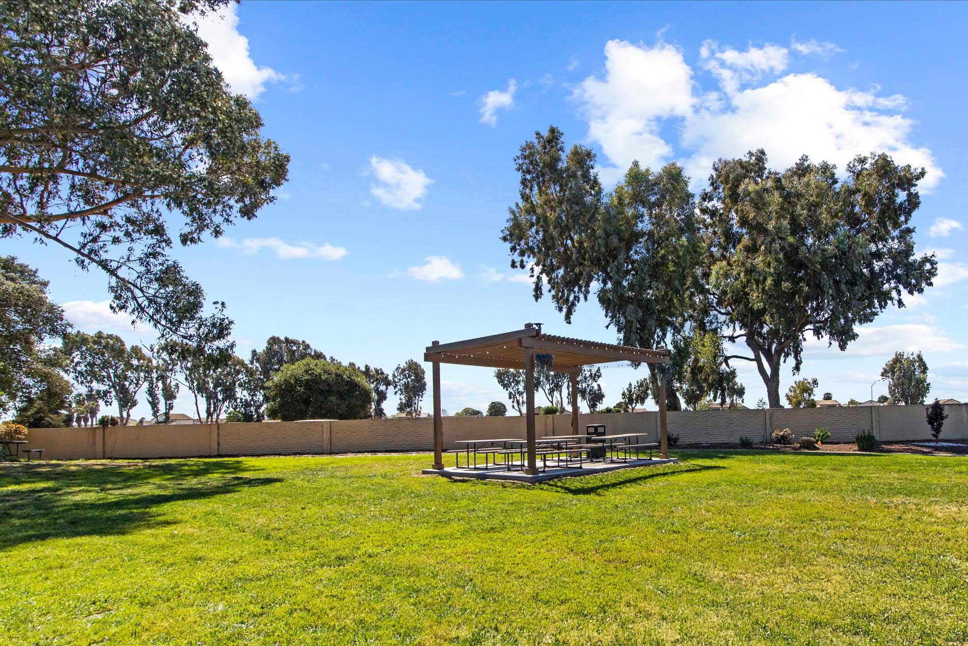 Laurel Tree picnic area