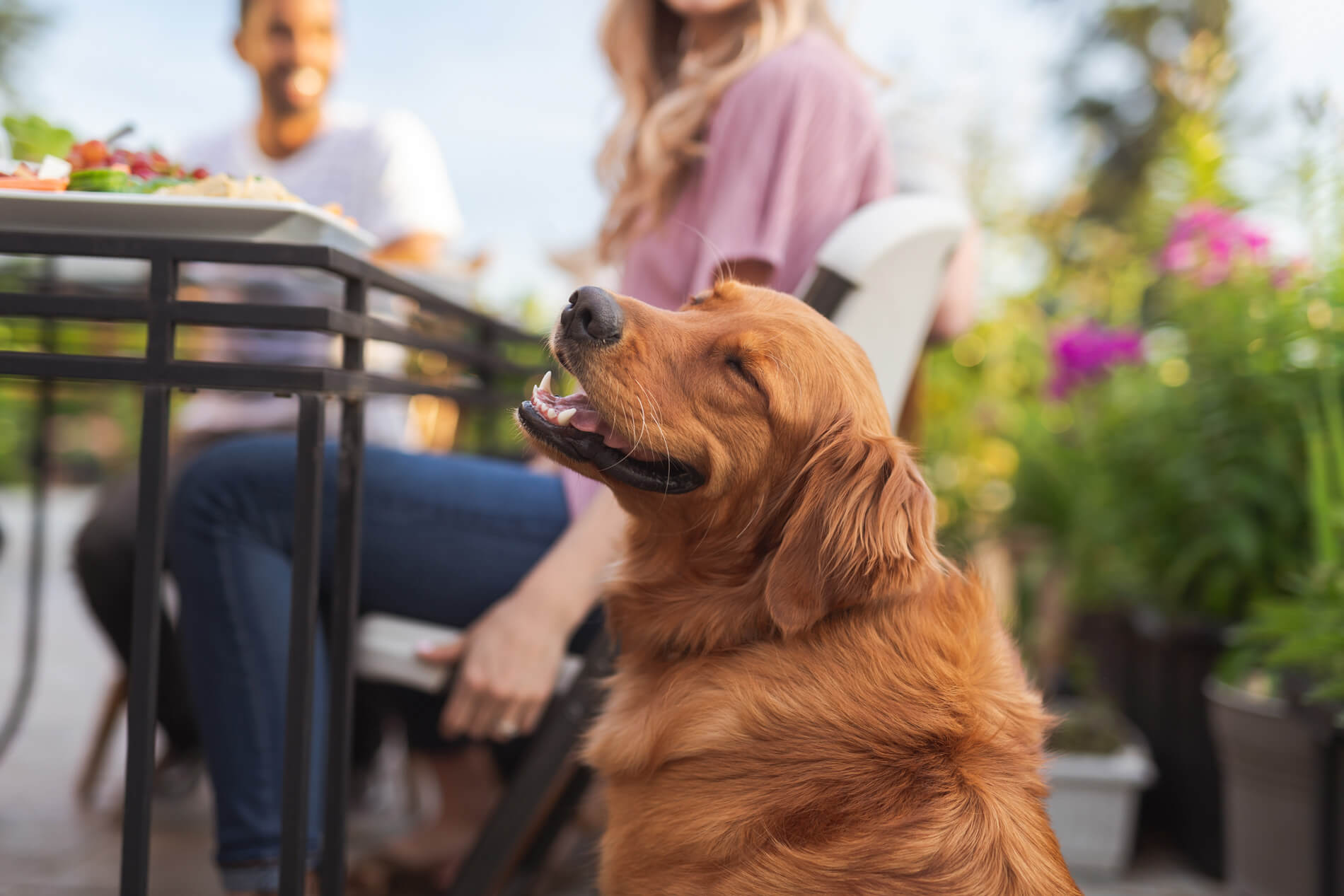 Dog sitting on patio next to table 