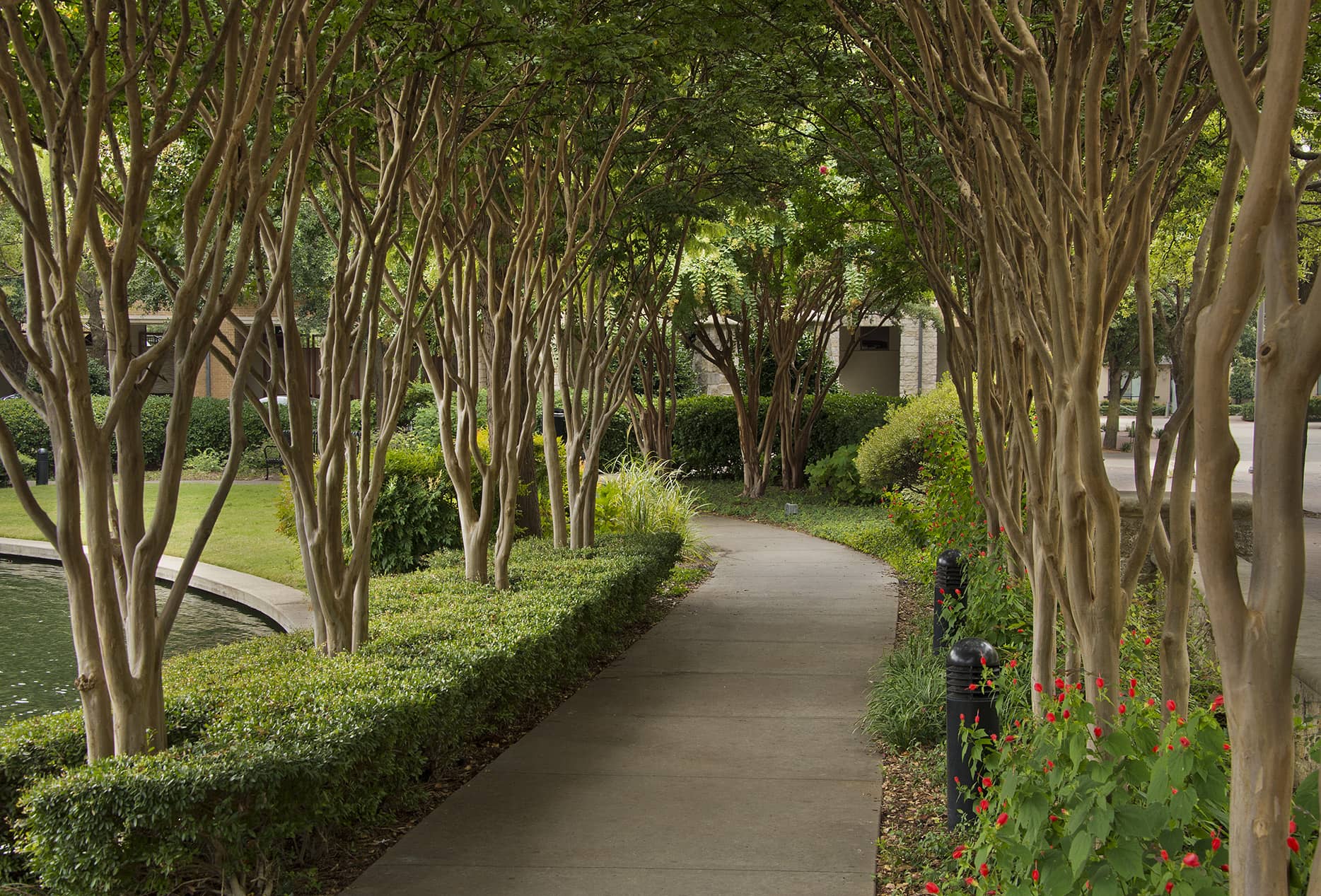 Legacy Village Apartment Homes Landscape