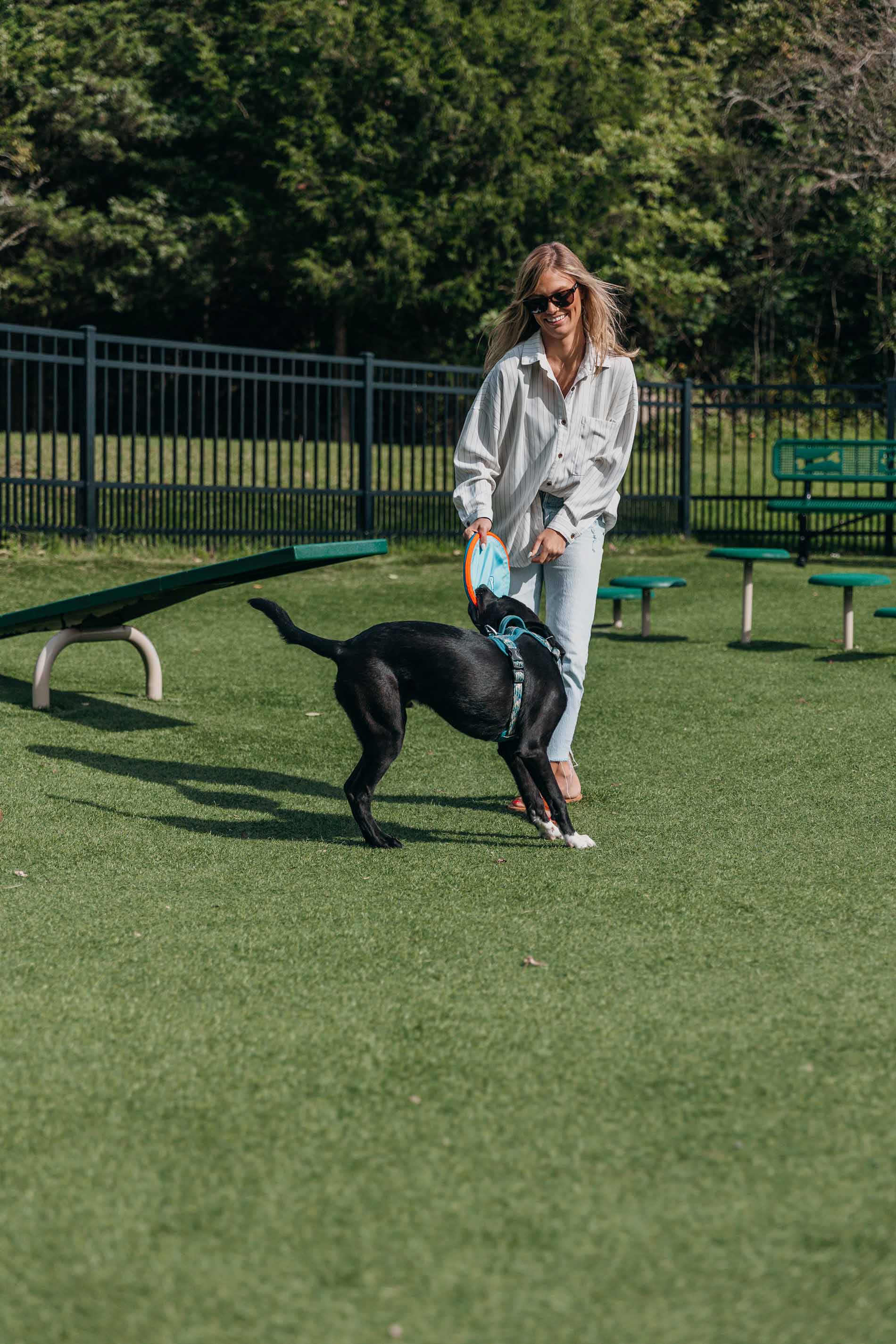 Lenox Farms woman plays with dog at dog park