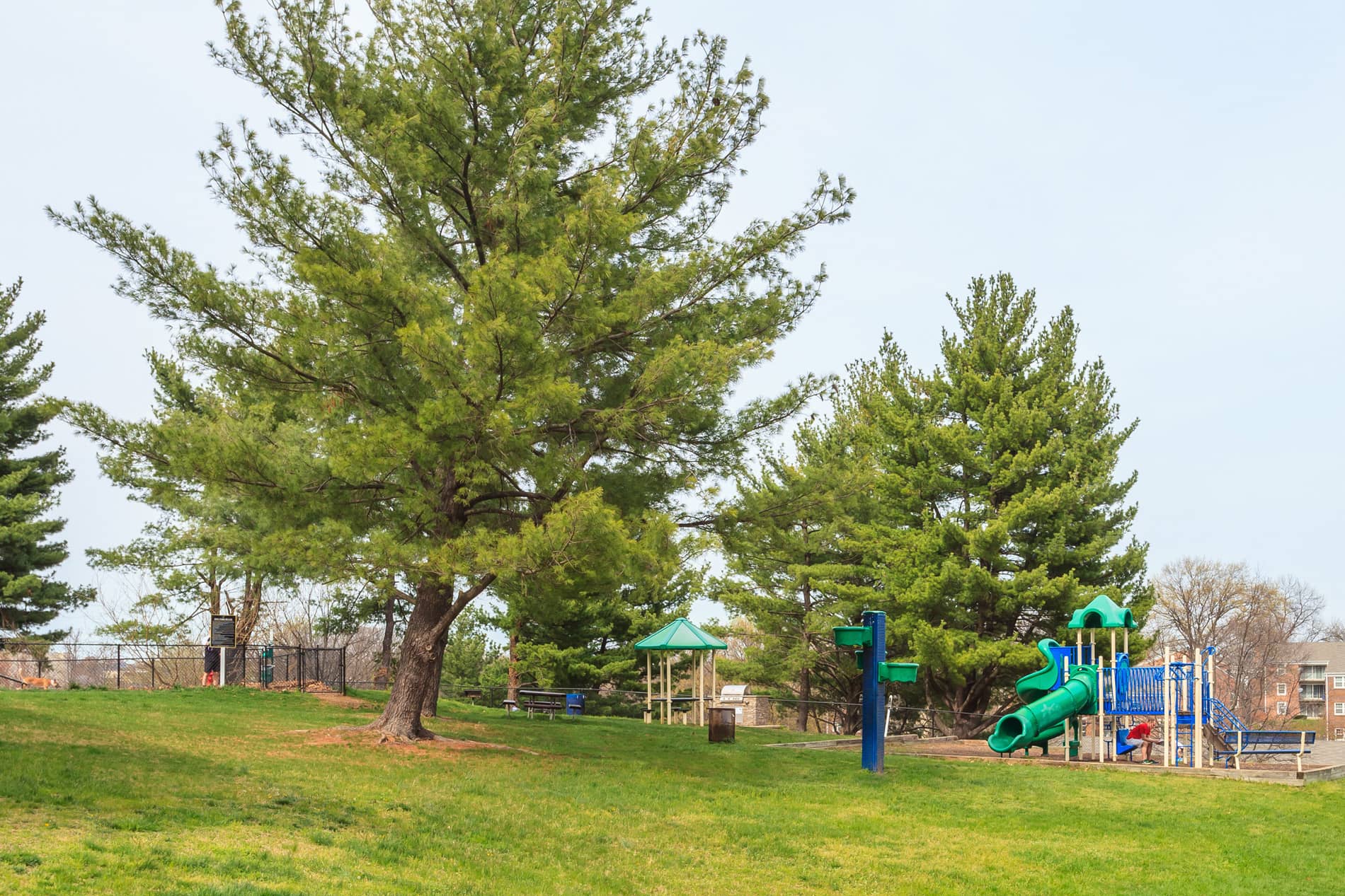 Newport Village Playground