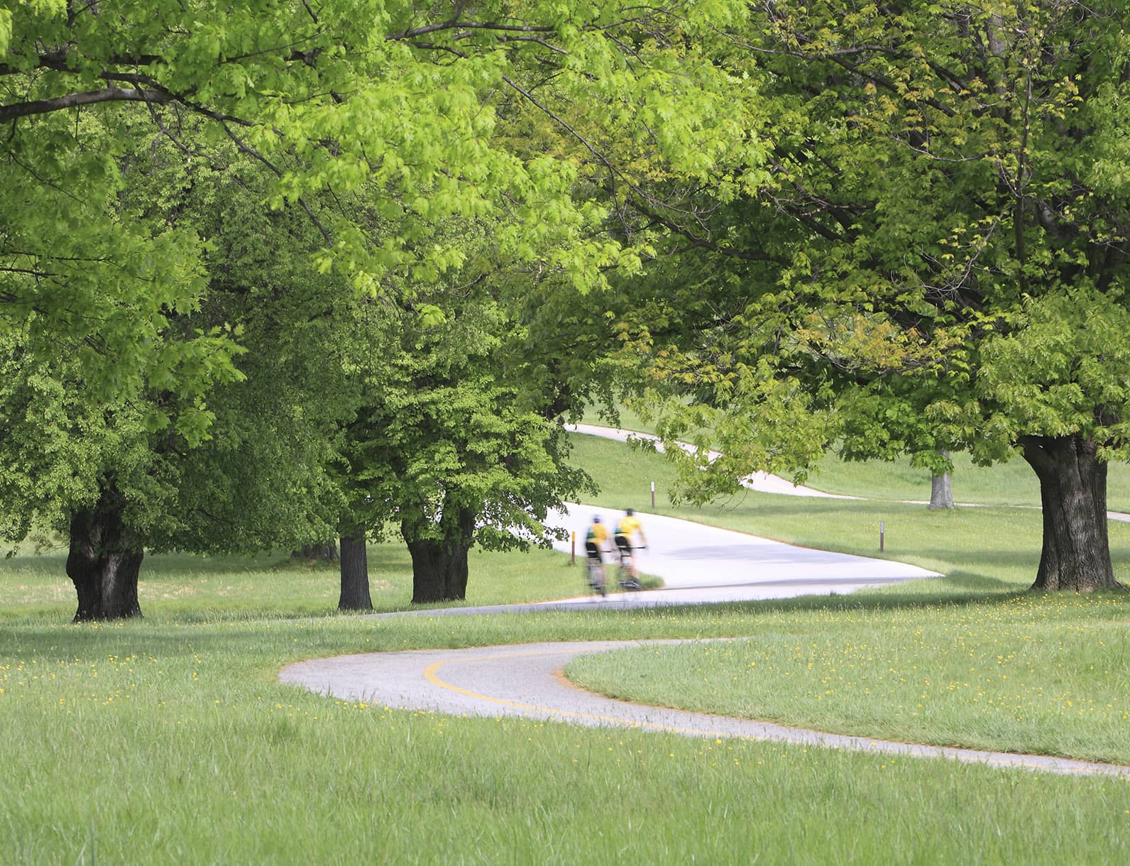 Neighborhood Info & Location of Newport Village Alexandria VA