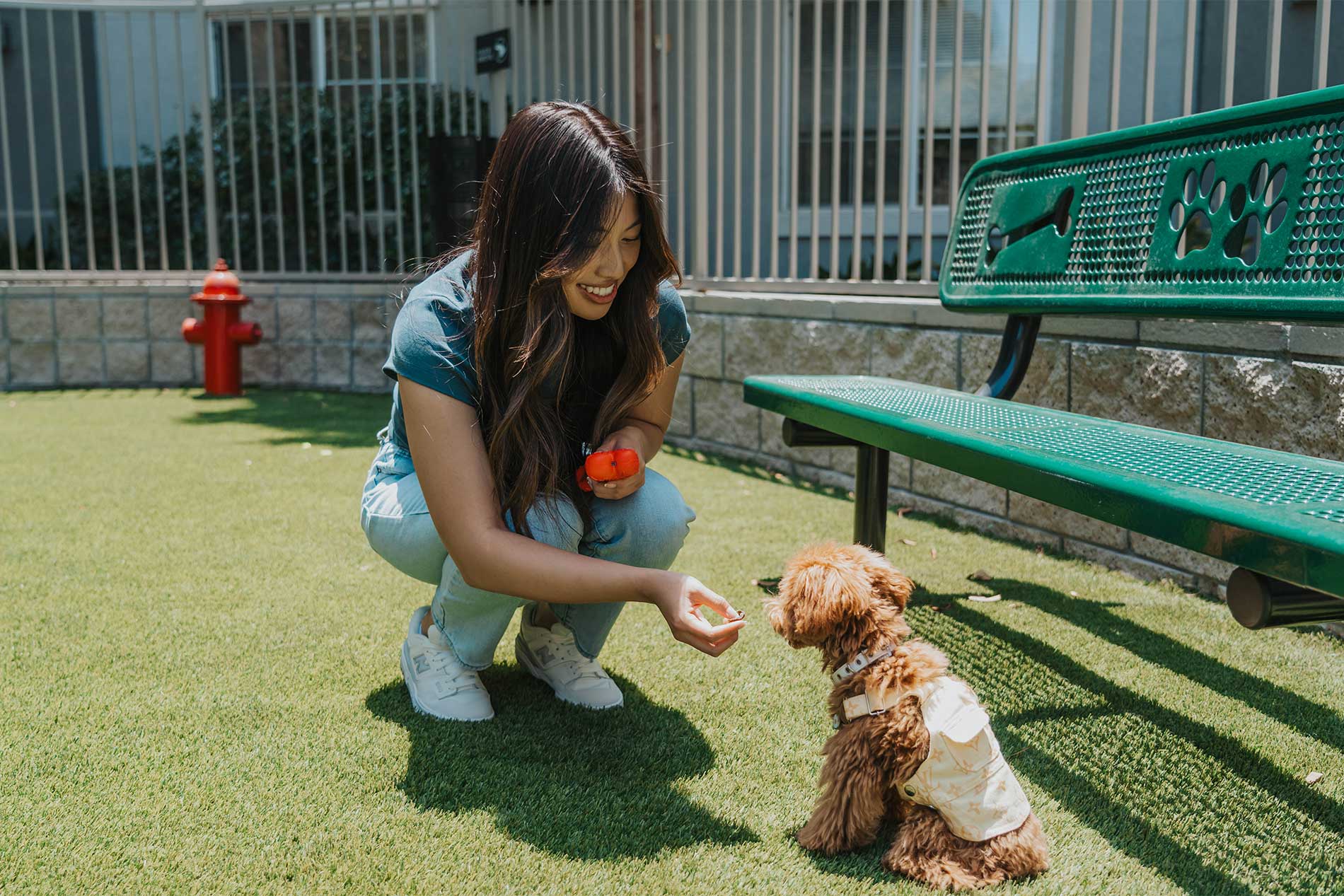 Dog Park at North Grove in Riverside, CA