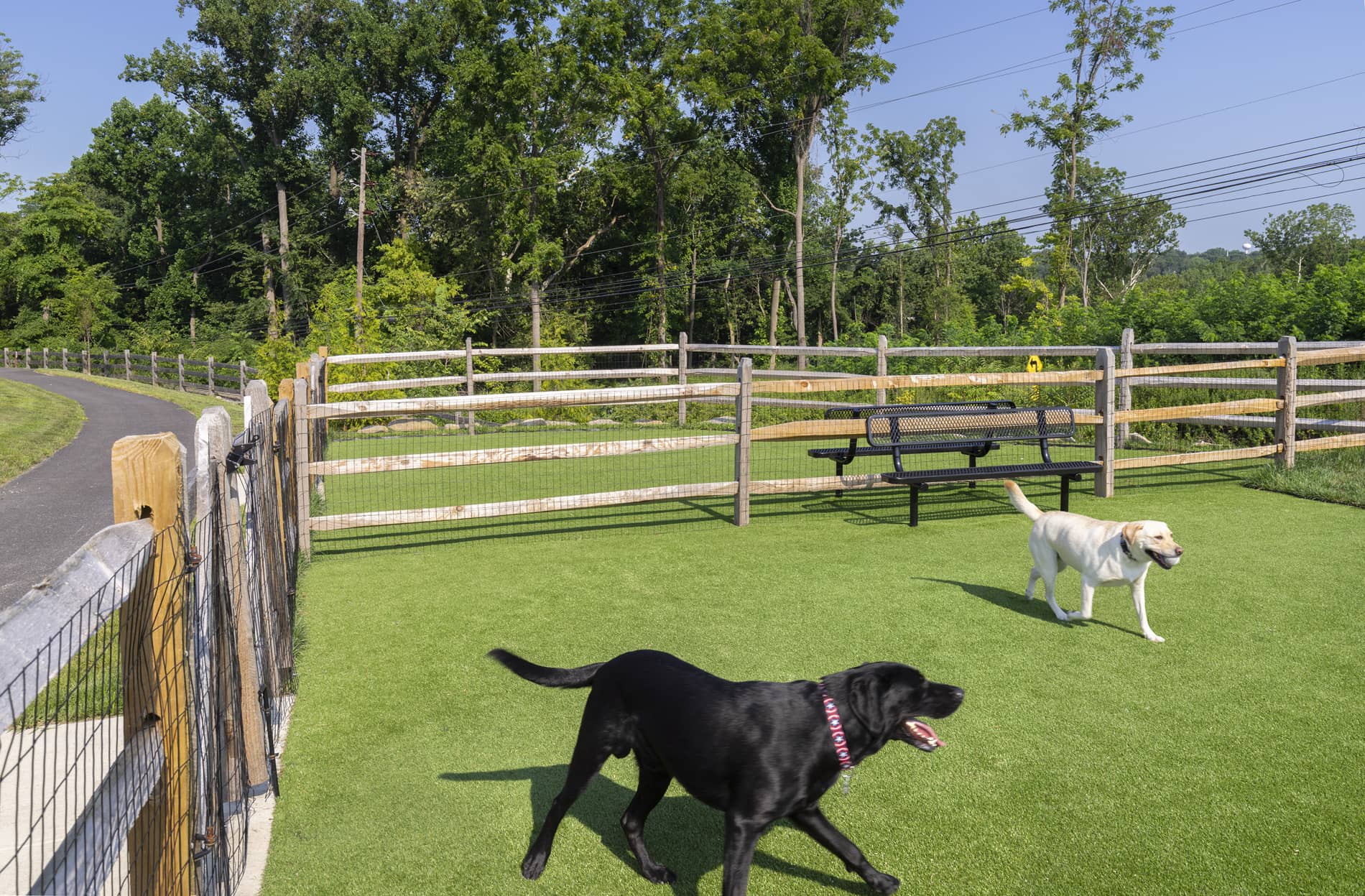 Park Square Dog Park