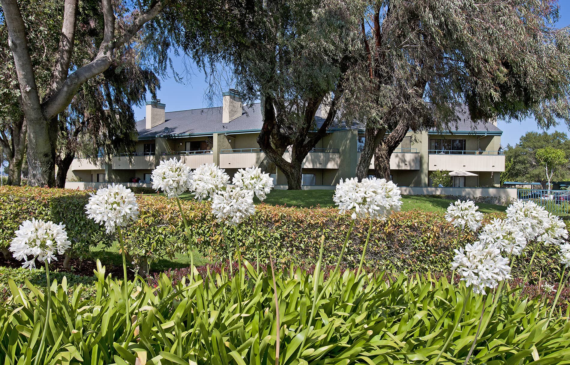 Pointe at Harden Ranch Building Exterior