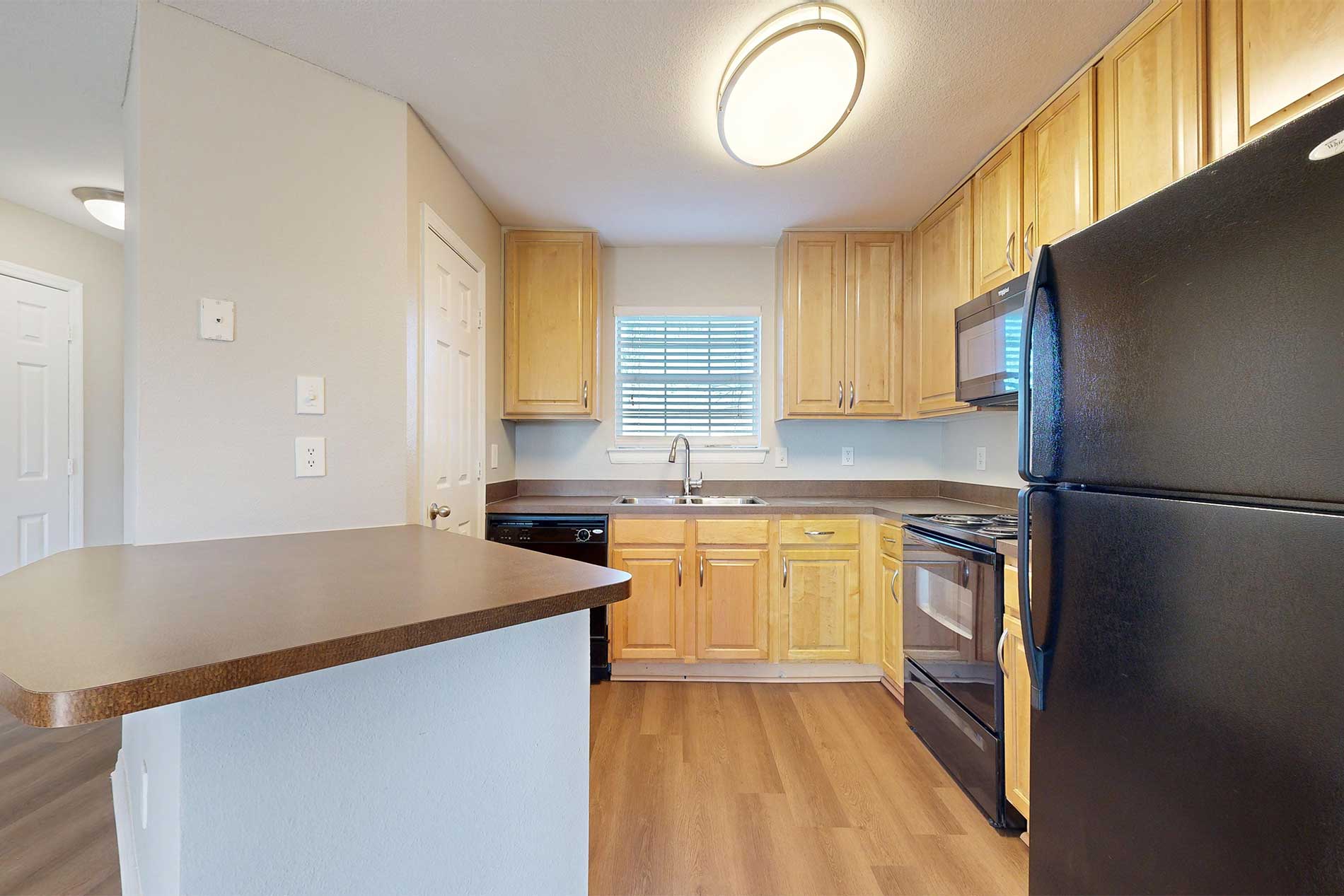 Polo Park apartment kitchen