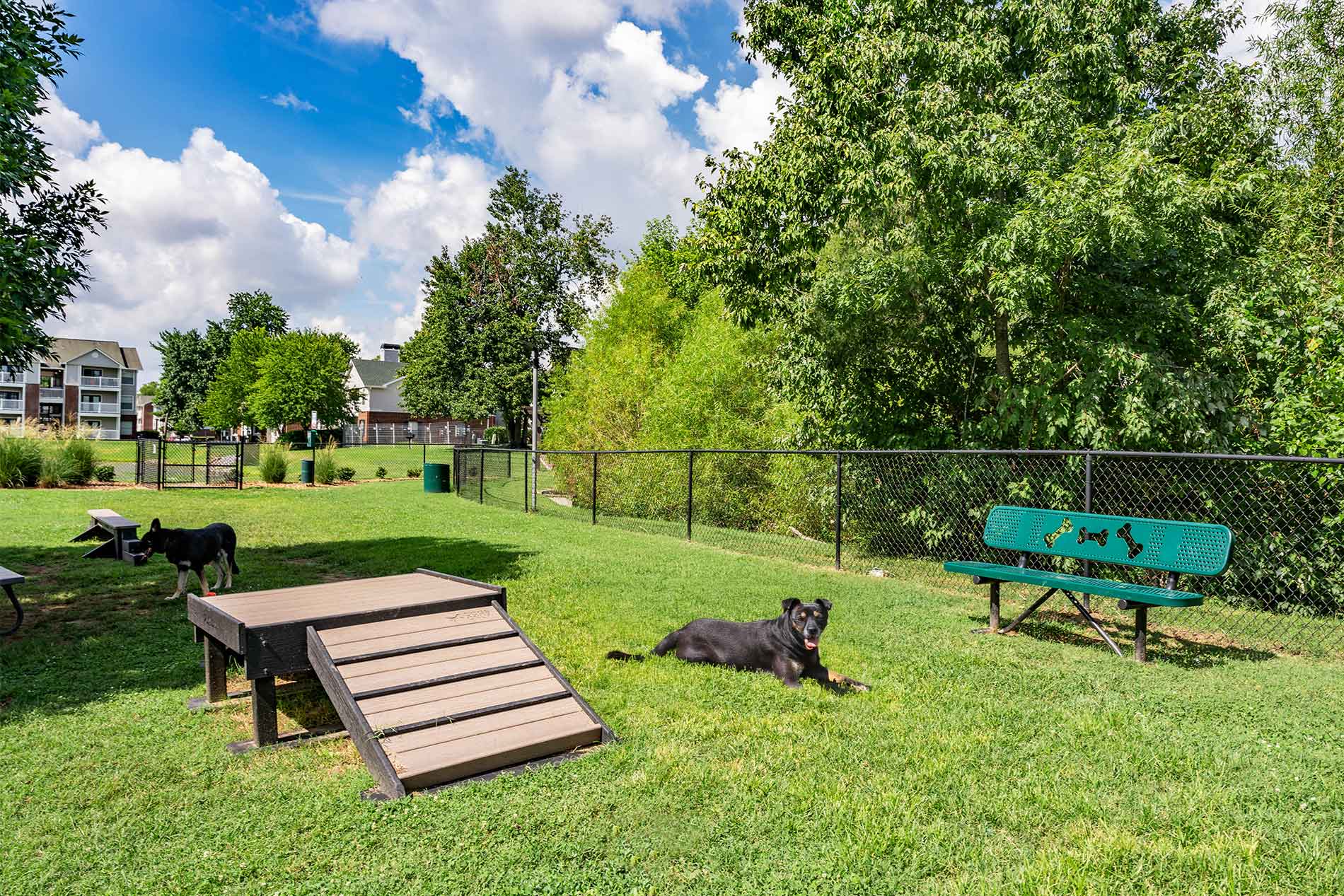 Polo Park dog park Polo Park dog park