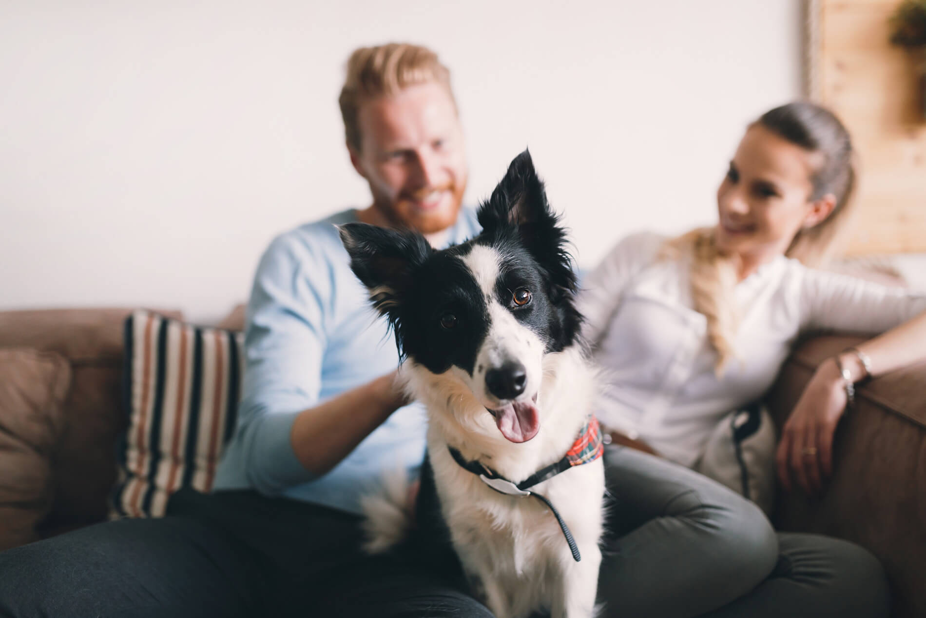 Couple sitting with their dog
